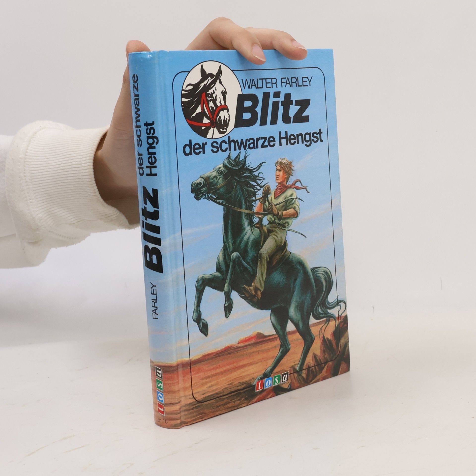 Walter Farley Blitz der schwarze Hengst