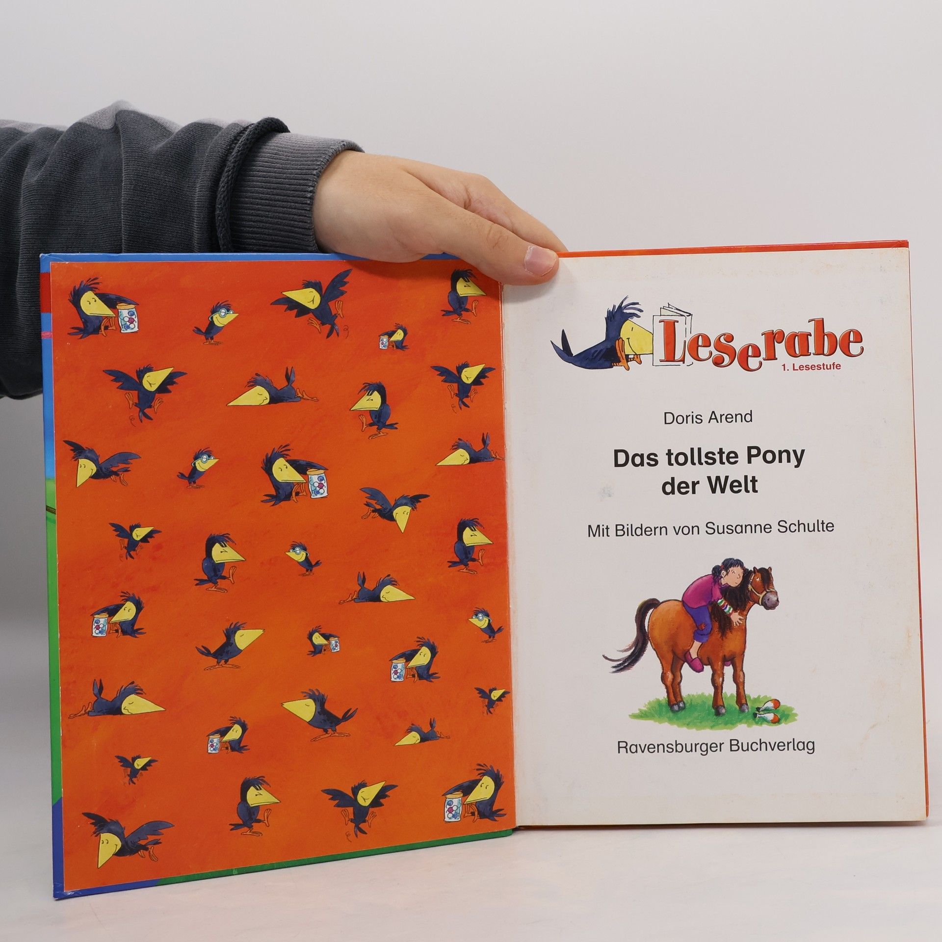 Doris Arend Das tollste Pony der Welt