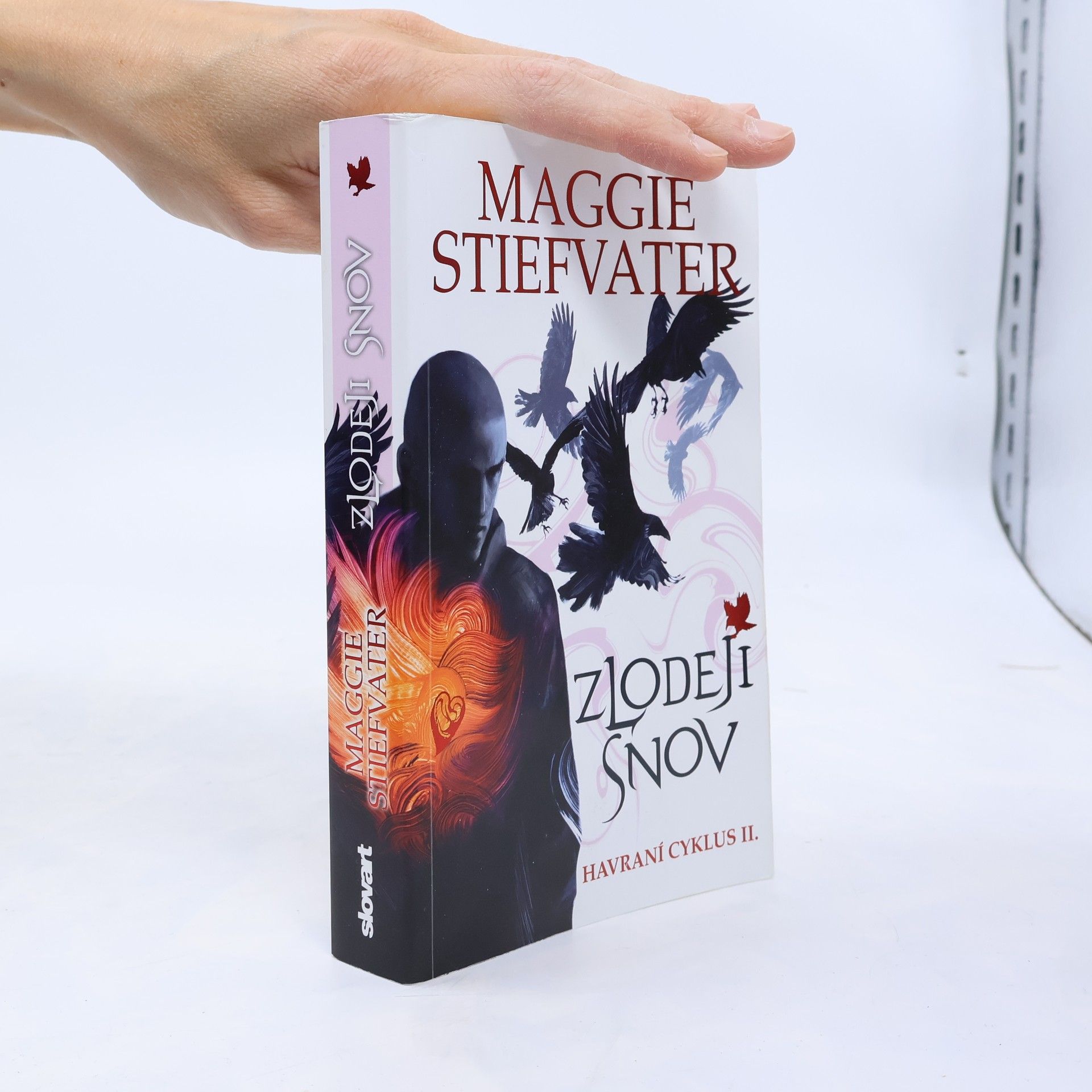 Maggie Stiefvater Zlodeji snov