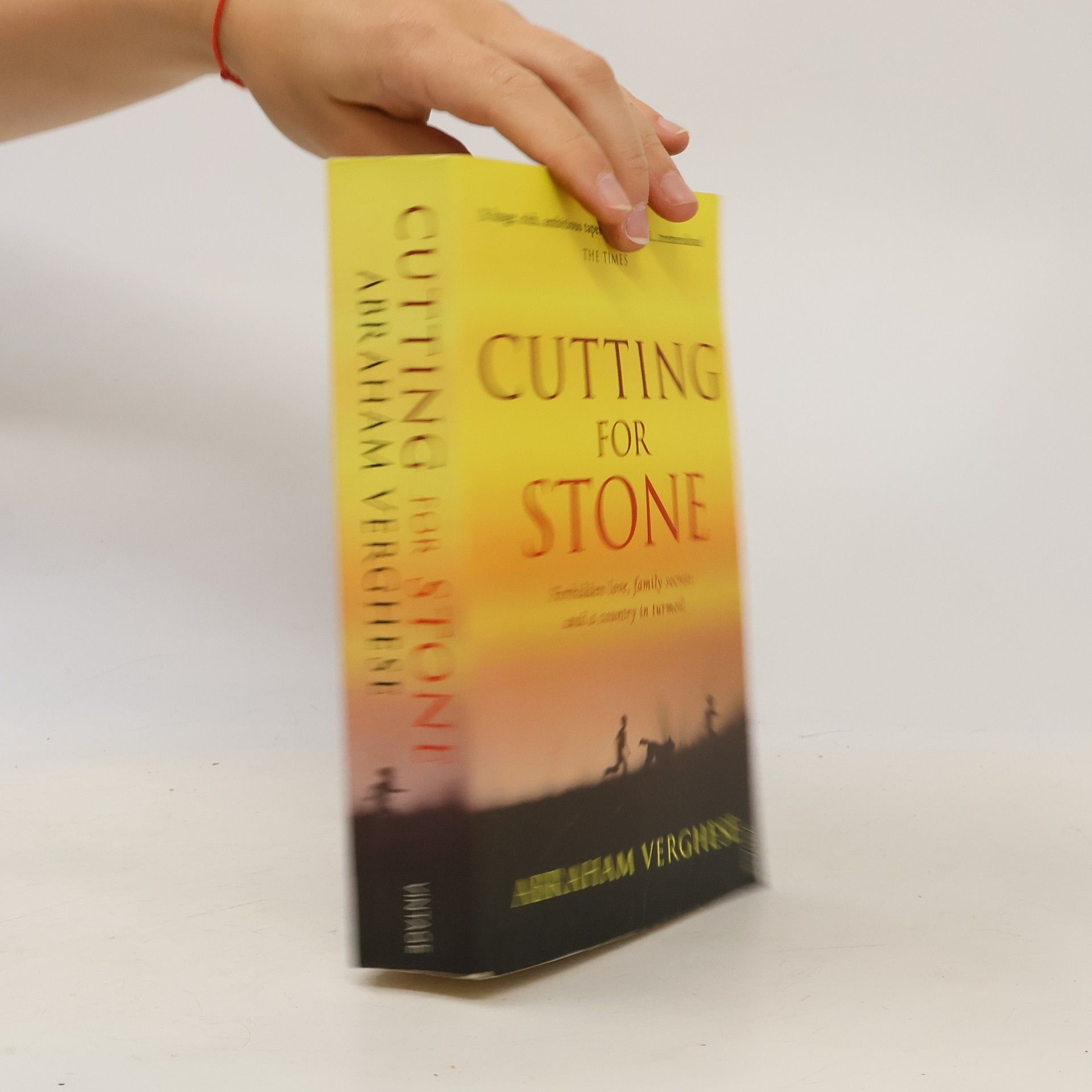 Abraham Verghese Cutting for Stone