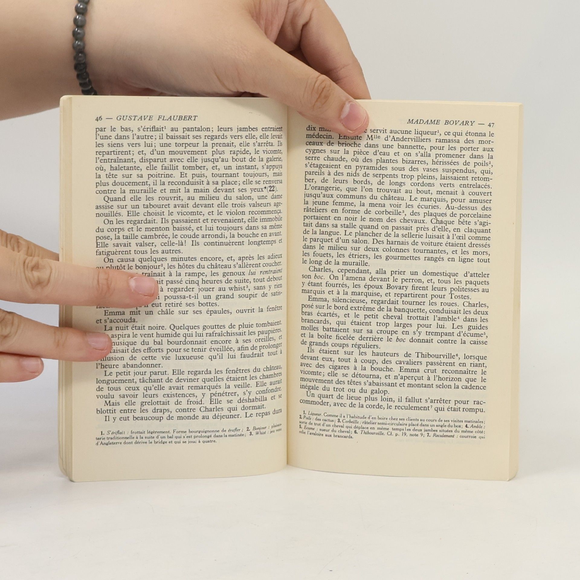 Gustave Flaubert Madame Bovary