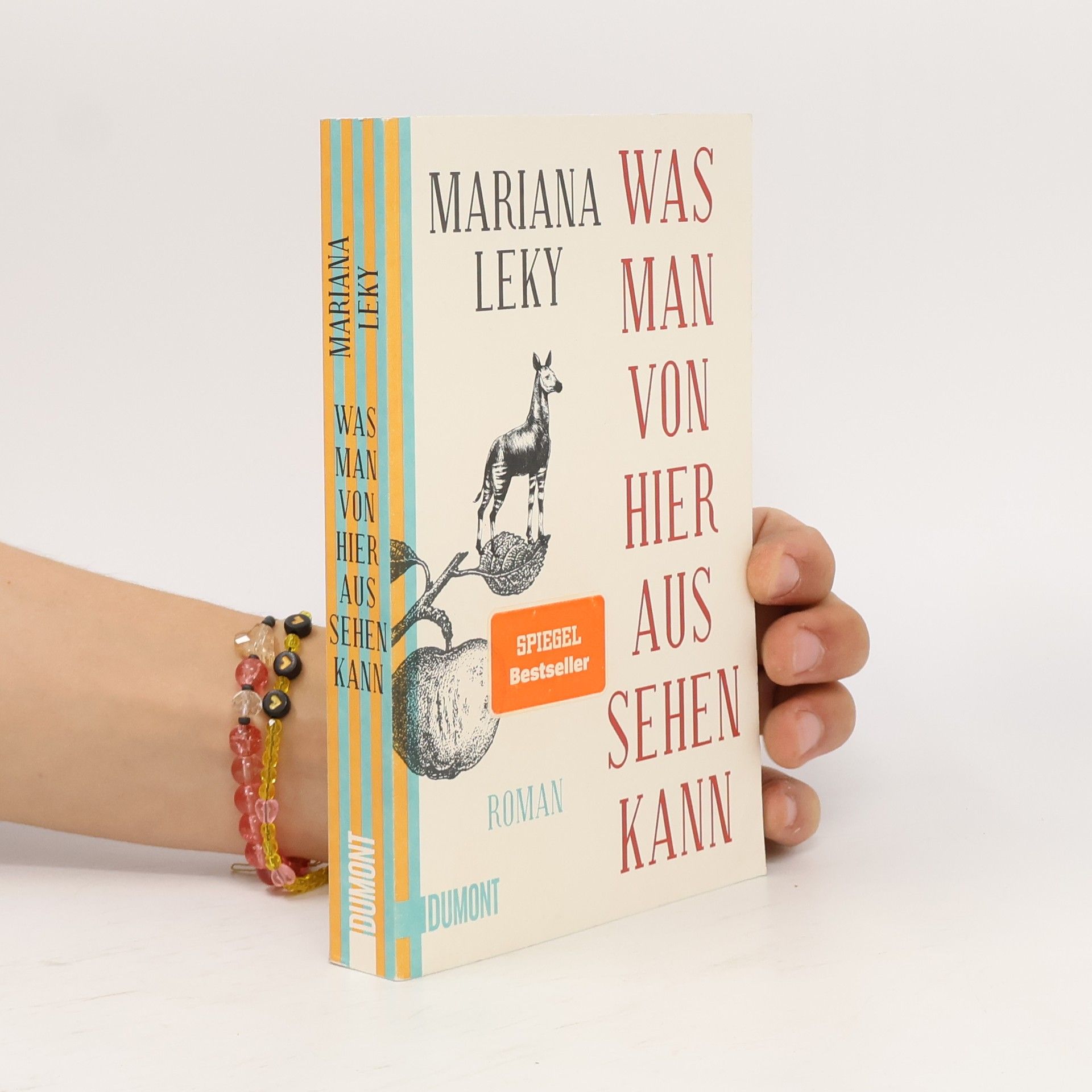 Mariana Leky Was man von hier aus sehen kann