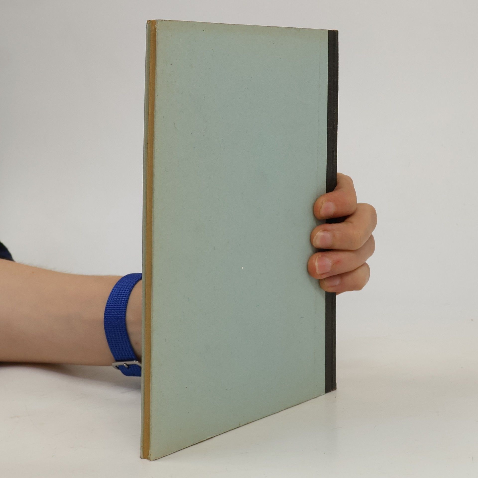 Kanton Basseland Handbuch für die Vormundschaftsbehörden der Gemeinden