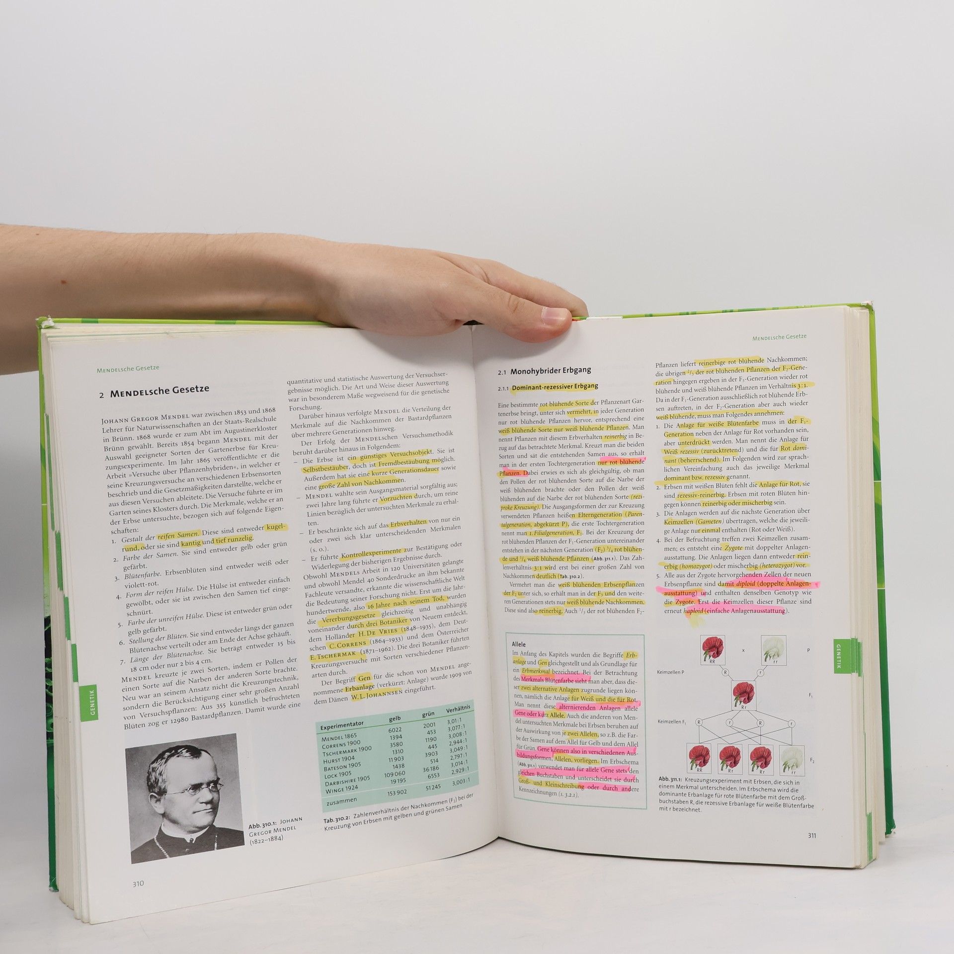 Autorenkollektiv Linder Biologie