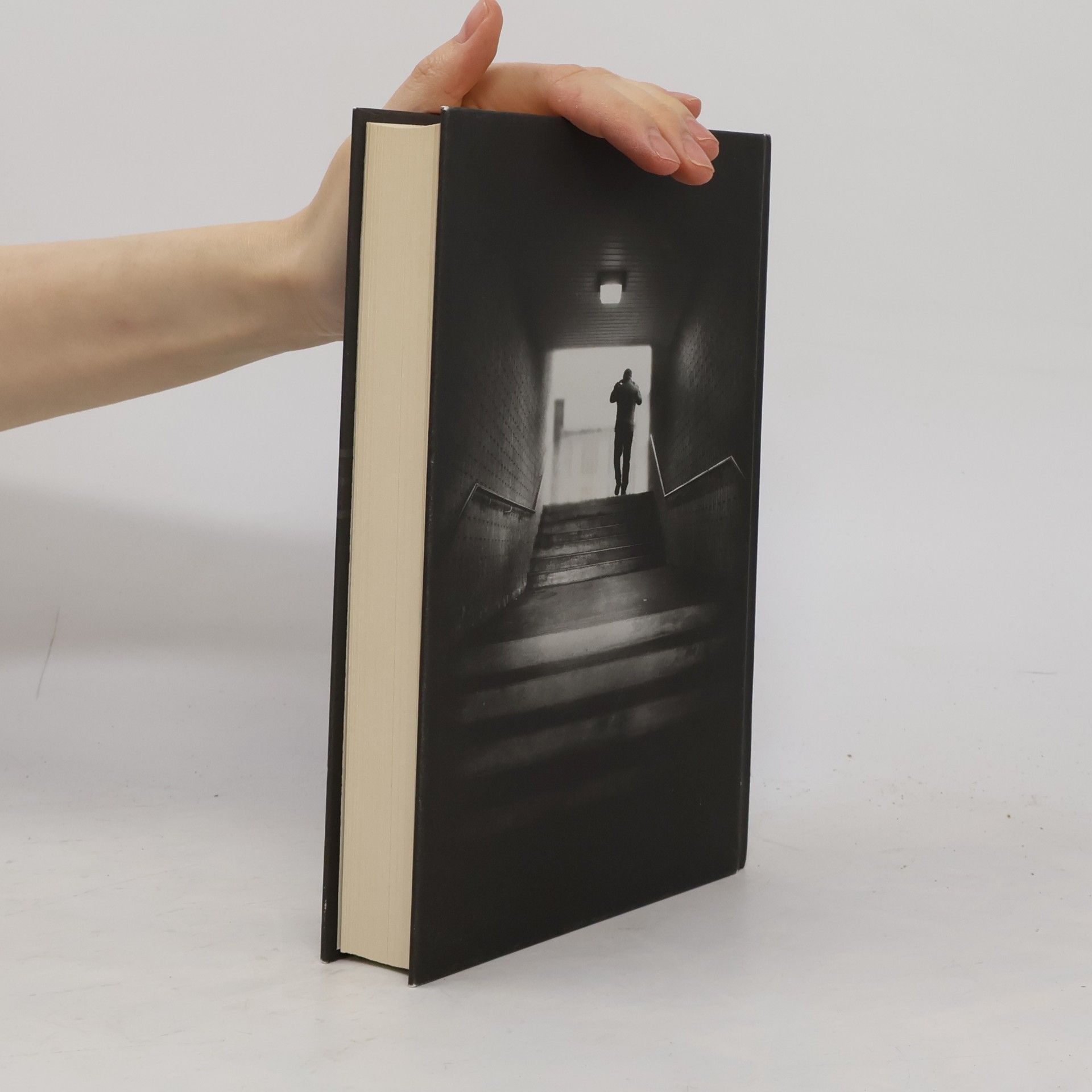 Paula Hawkins Dívka ve vlaku