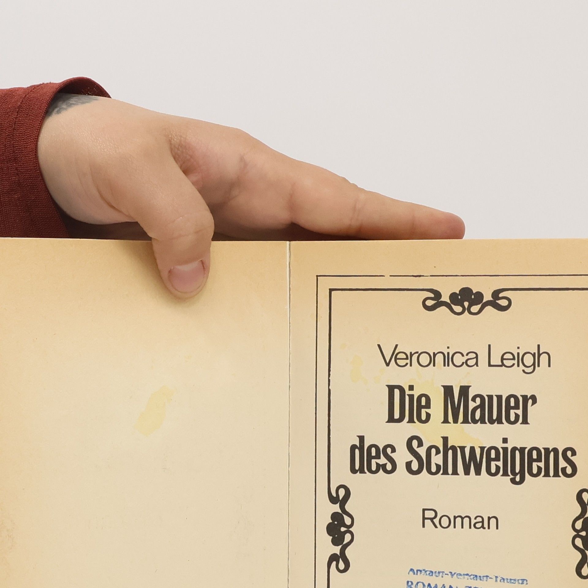 Veronica Leigh Die Mauer des Schweigens