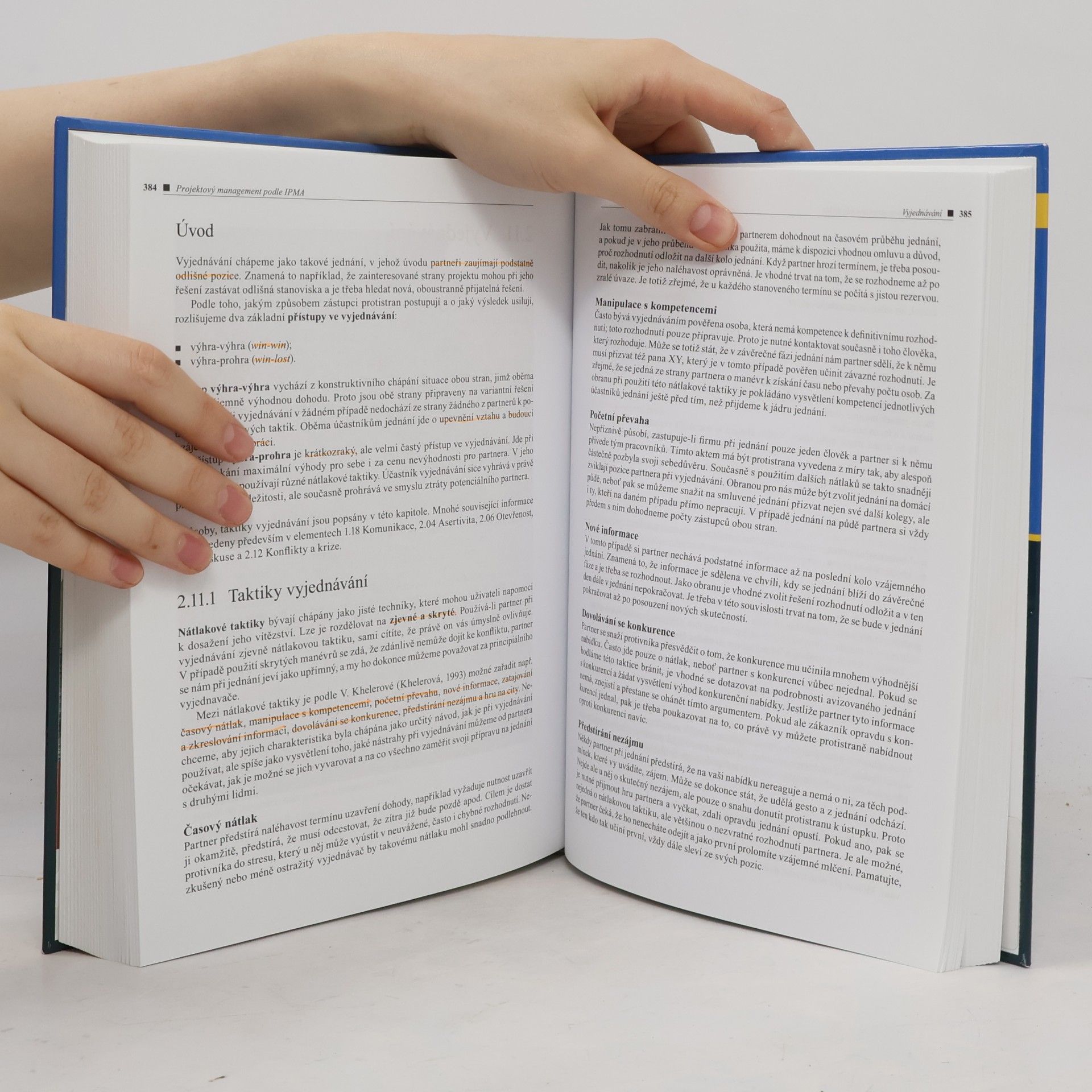 Autorenkollektiv Projektový management podle IPMA