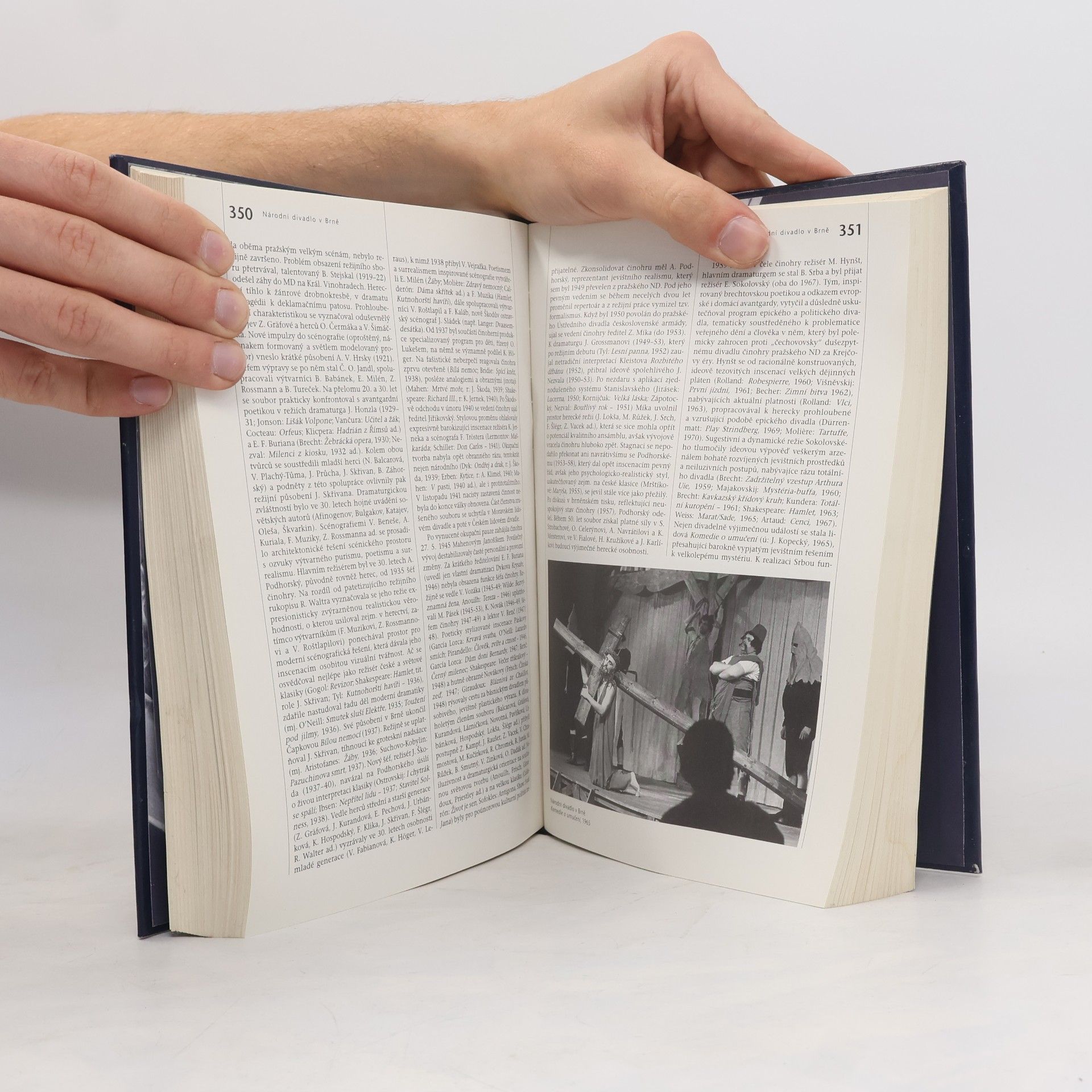 Autorenkollektiv Česká divadla. Encyklopedie divadelních souborů