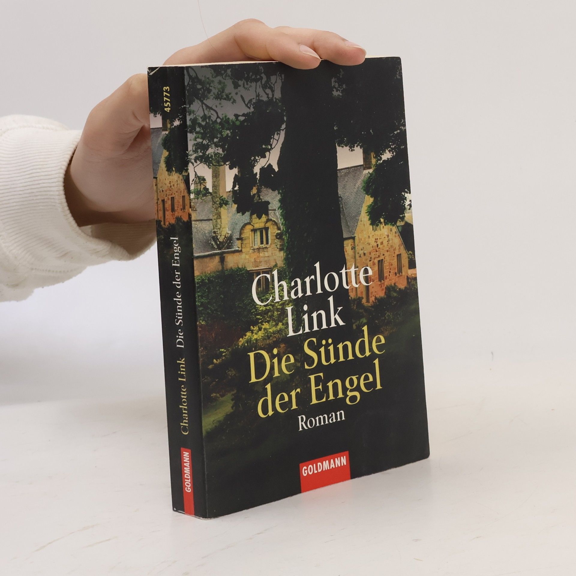 Charlotte Link Die Sünde der Engel