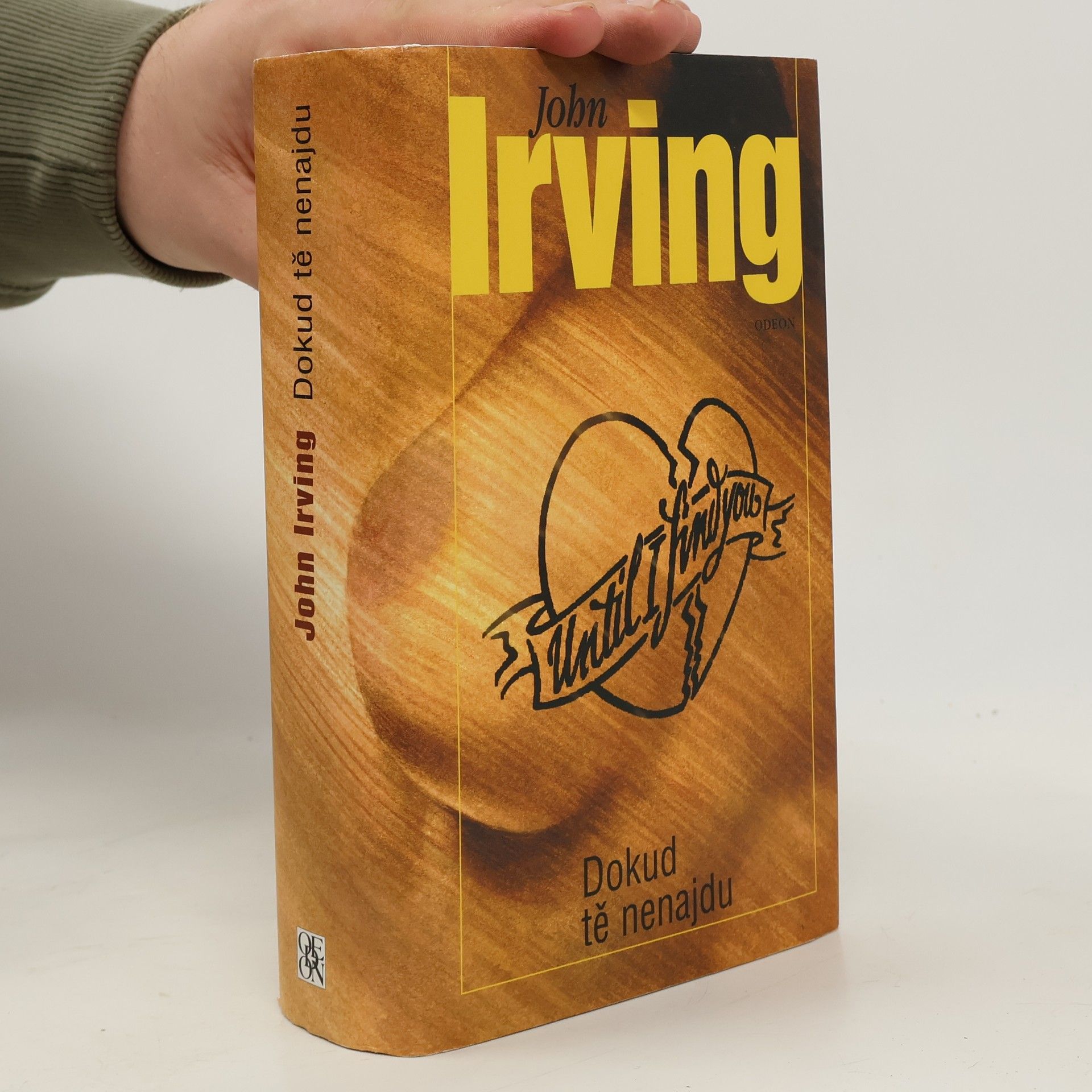 John Irving Dokud tě nenajdu