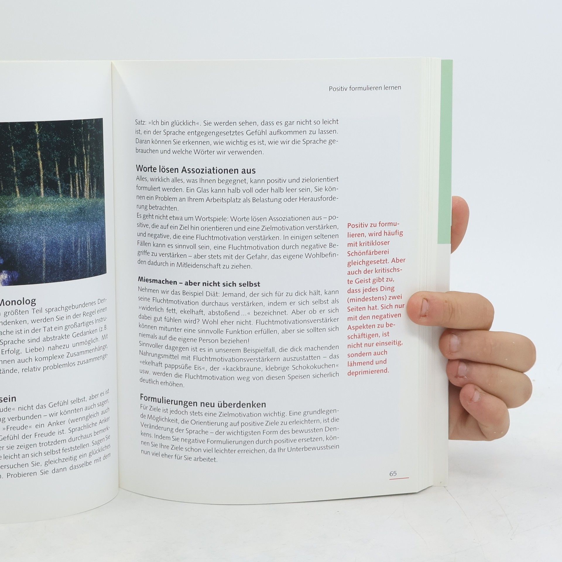 Aljoscha A. Schwarz Praxisbuch NLP