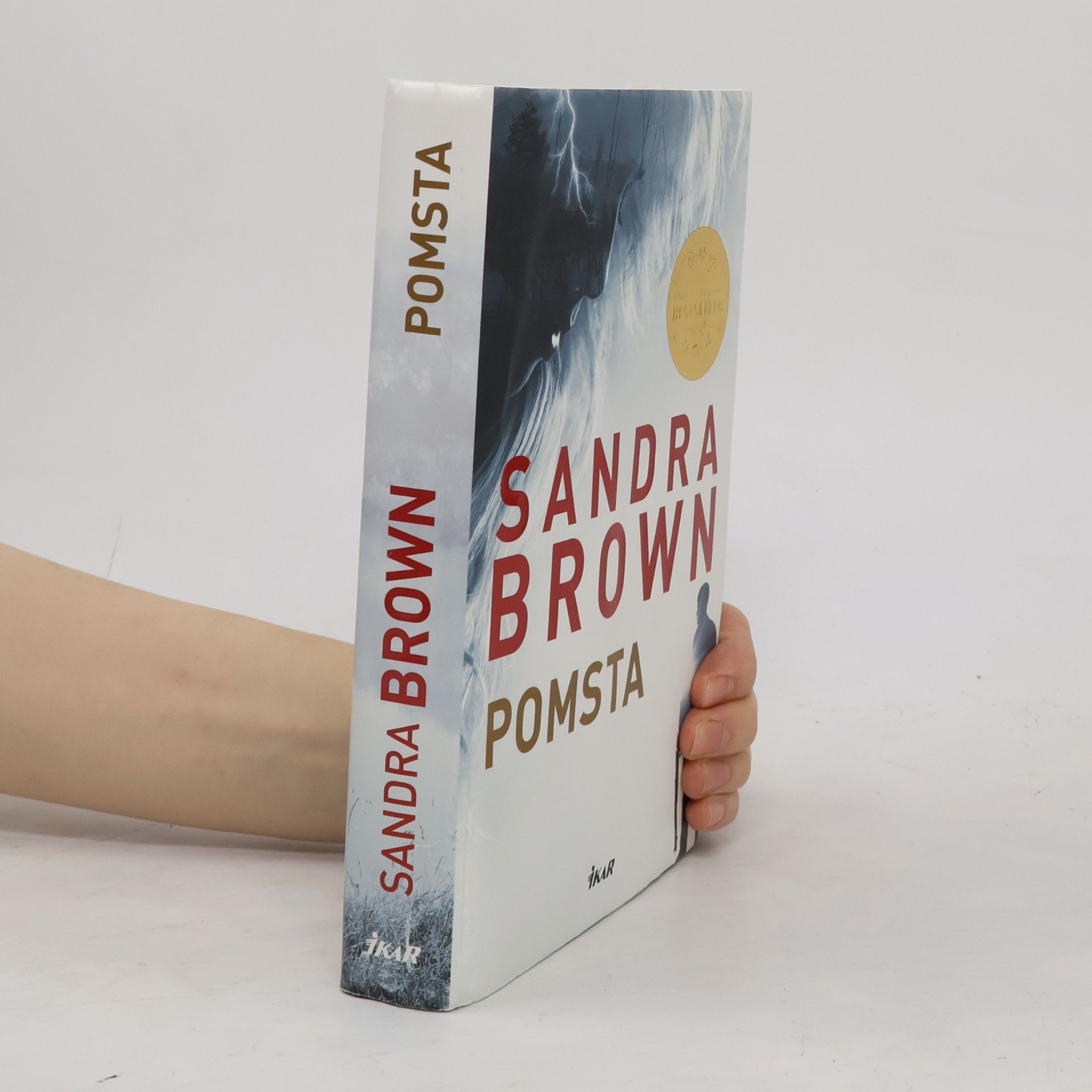 Sandra Brown Pomsta
