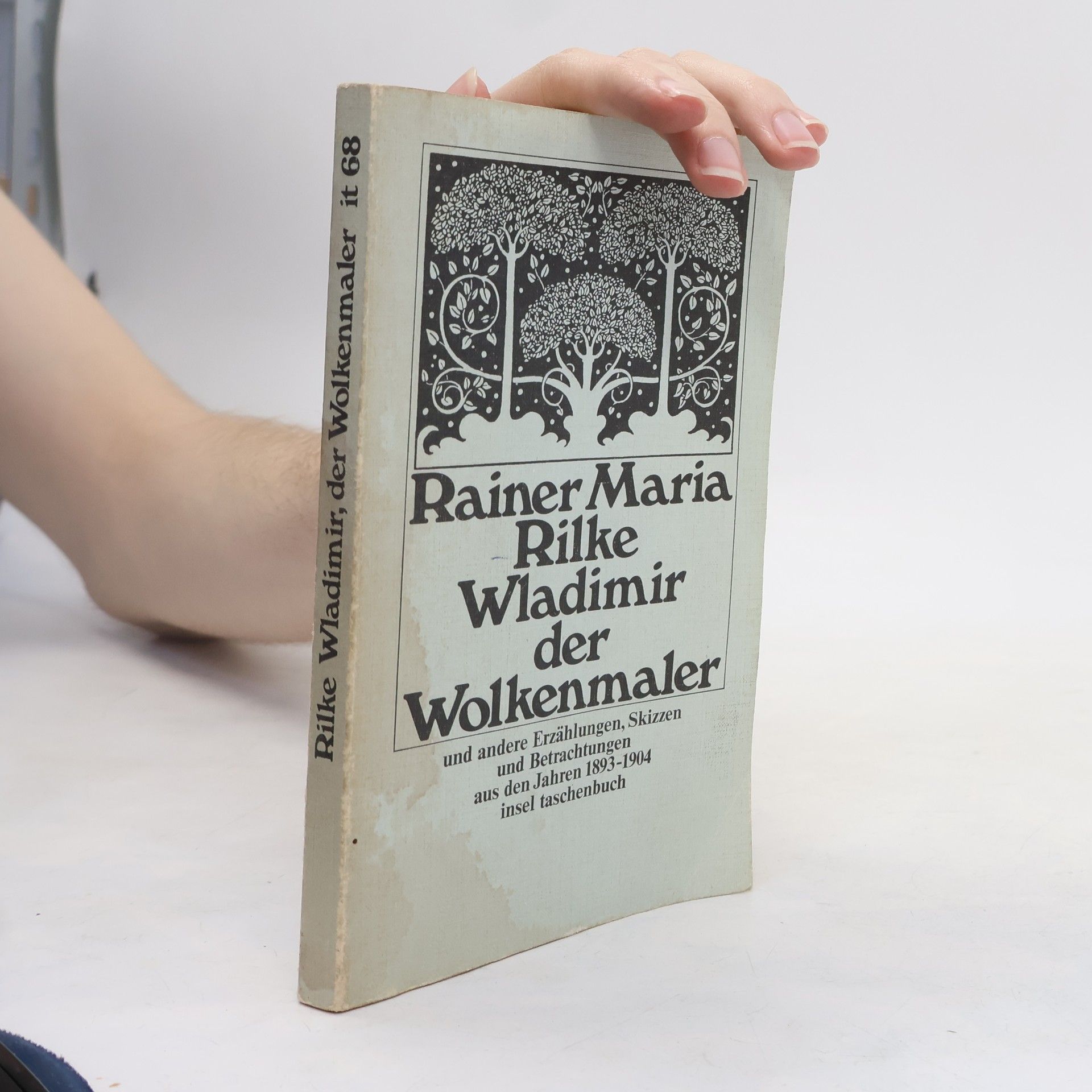 Rainer Maria Rilke Wladimir, der Wolkenmaler. und andere Erzählungen, Skizzen und Betrachtungen aus den Jahren 1893 - 1904.