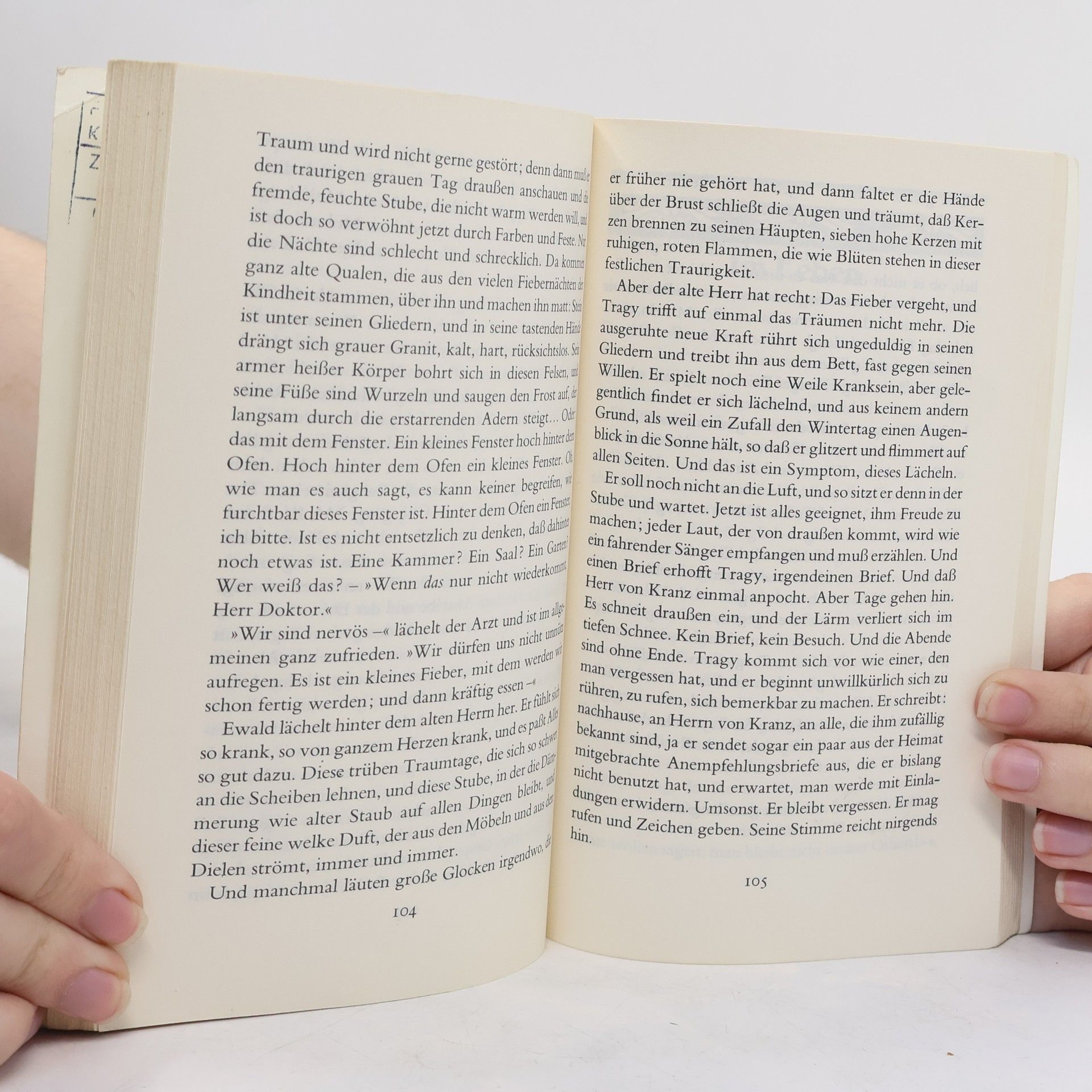 Rainer Maria Rilke Wladimir, der Wolkenmaler. und andere Erzählungen, Skizzen und Betrachtungen aus den Jahren 1893 - 1904.