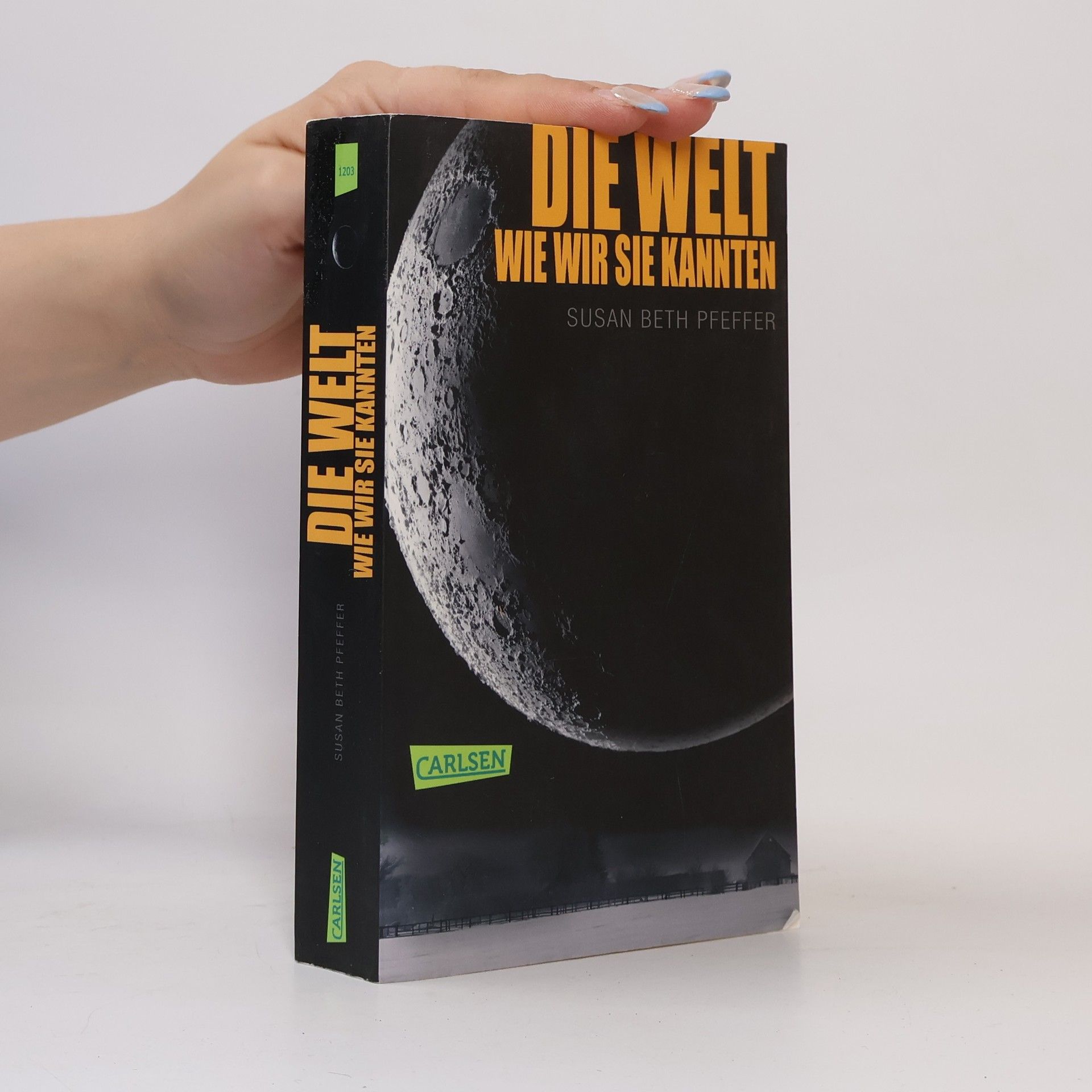 Susan Beth Pfeffer Die Welt, wie wir sie kannten