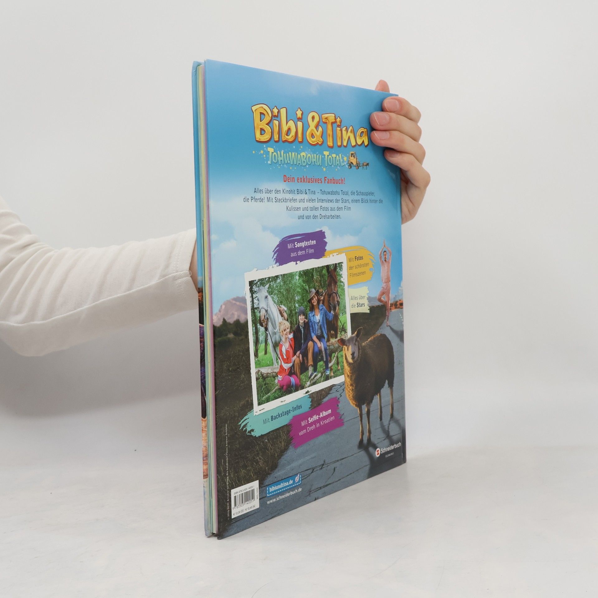 Bettina Börgerding Bibi & Tina - Tohuwabohu total: das große Fanbuch