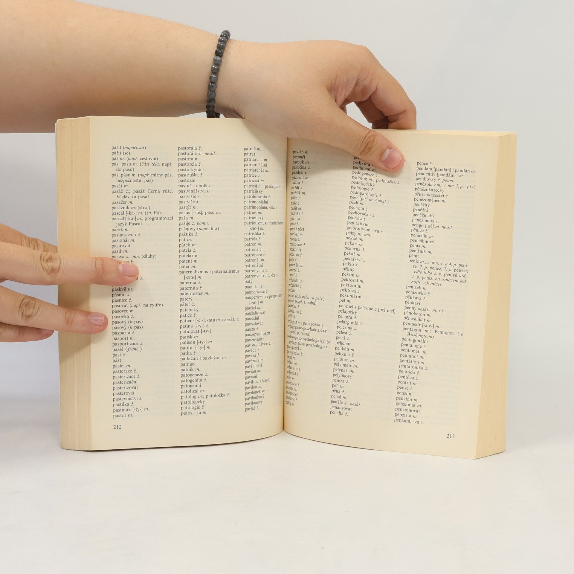 Collectif d'auteurs Pravidla českého pravopisu