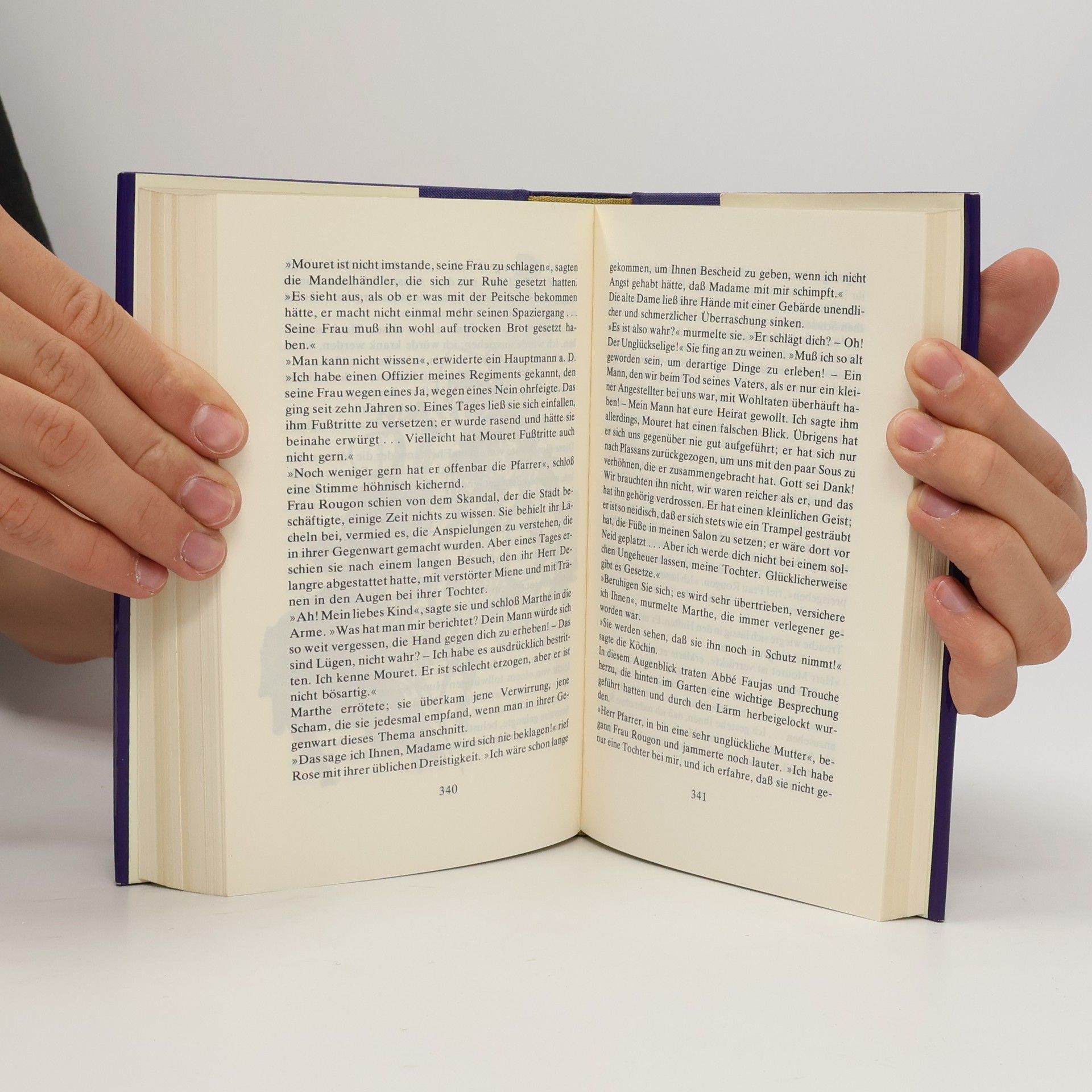 Émile Zola Die Eroberung von Plassans