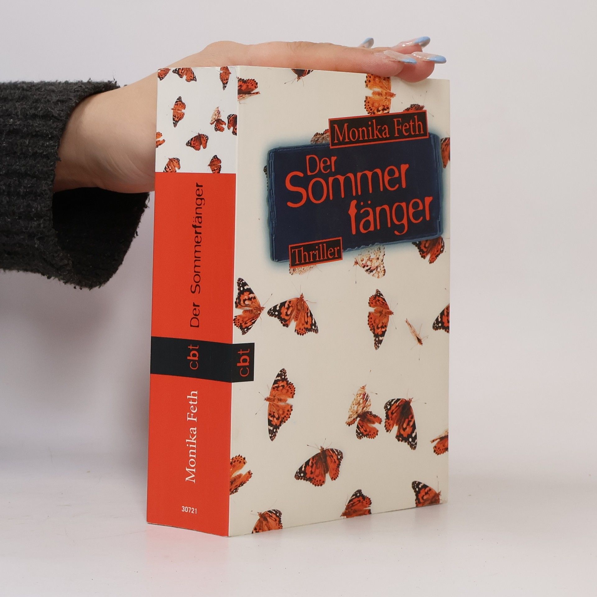 Monika Feth Der Sommerfänger
