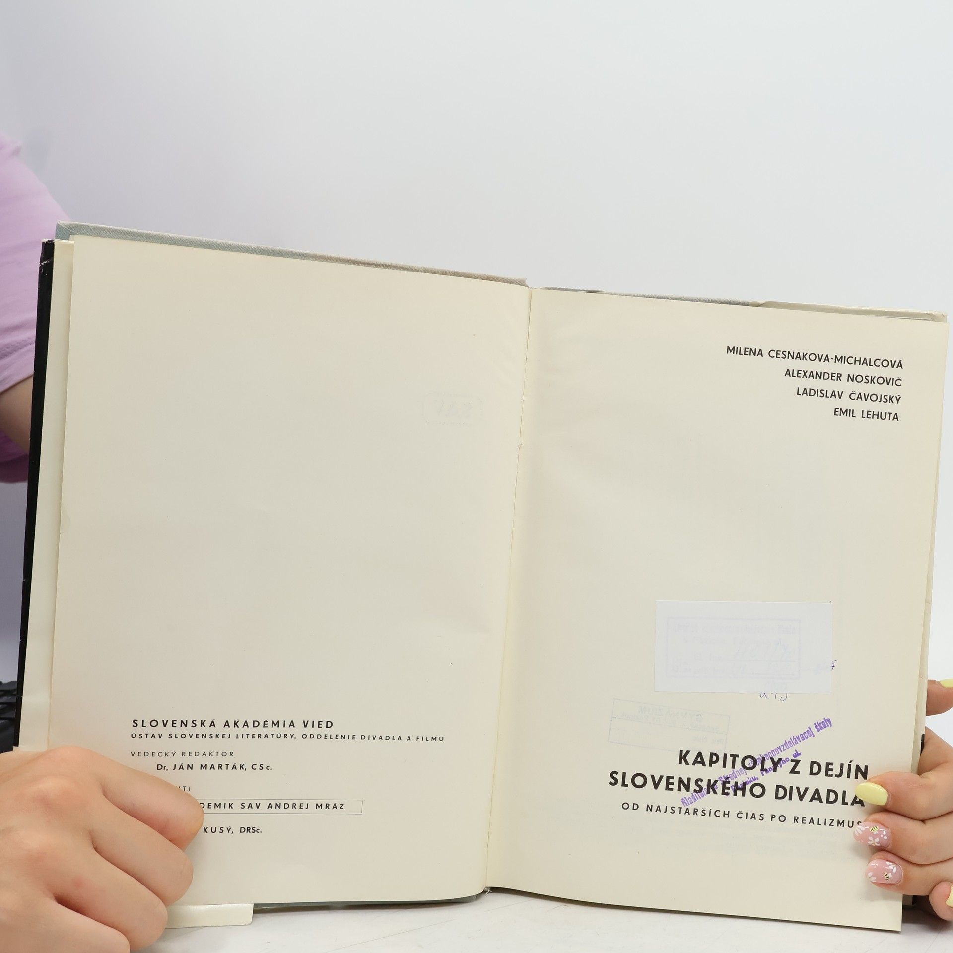 Autorenkollektiv Kapitoly z dejín slovenského divadla