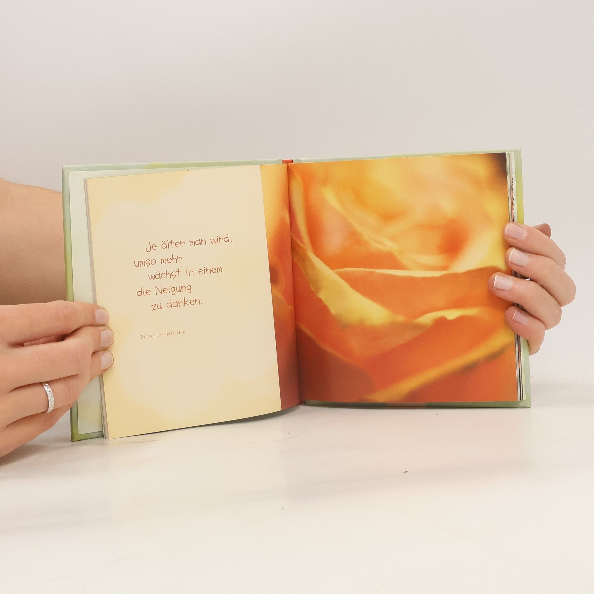 Autores varios Einfach: Danke