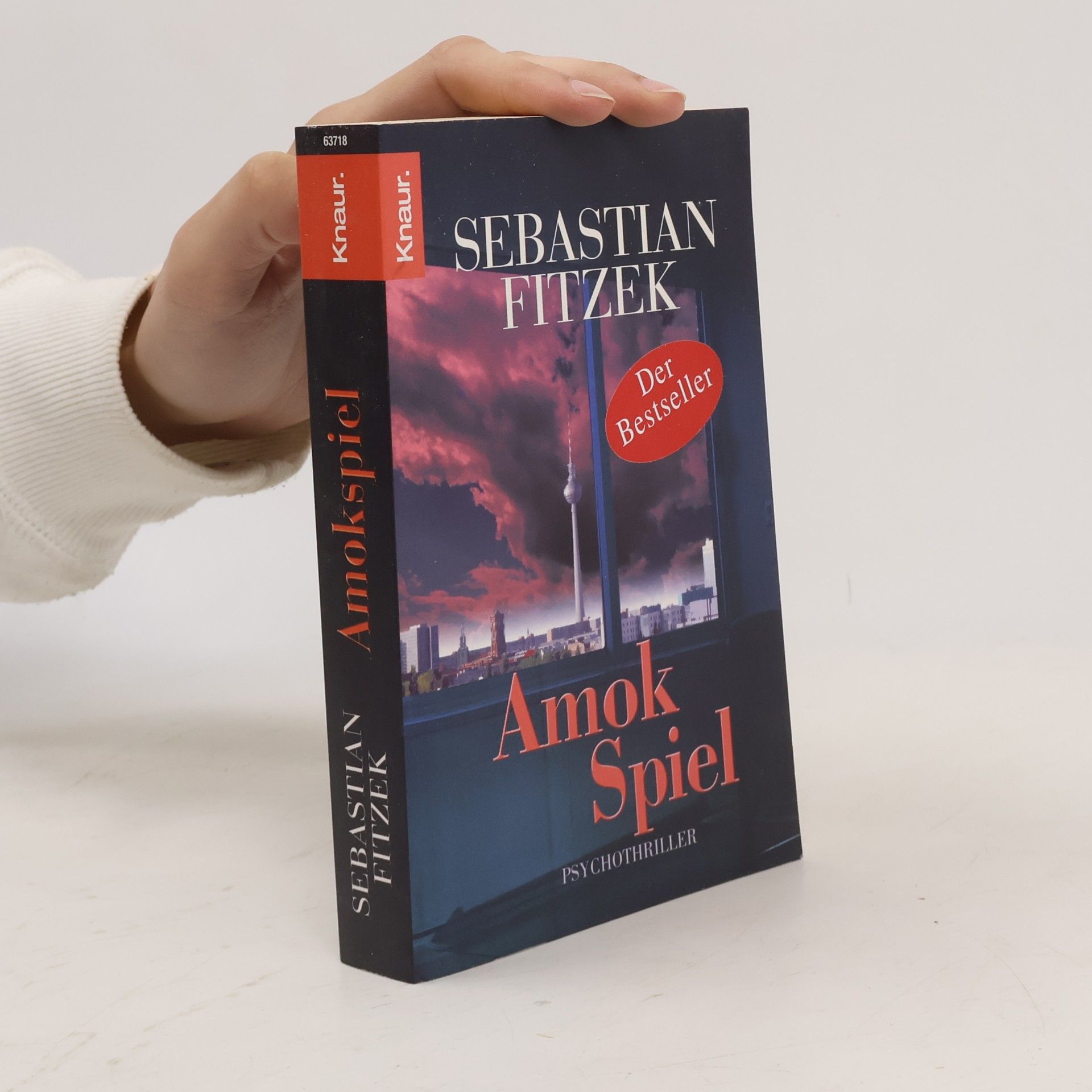 Amokspiel : Psychothriller