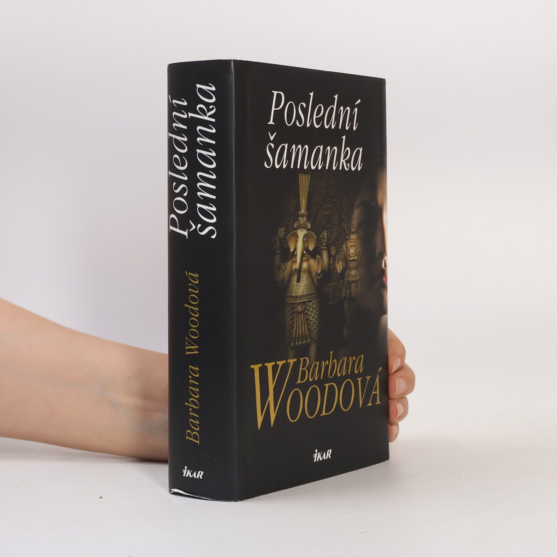 Barbara Wood Poslední šamanka