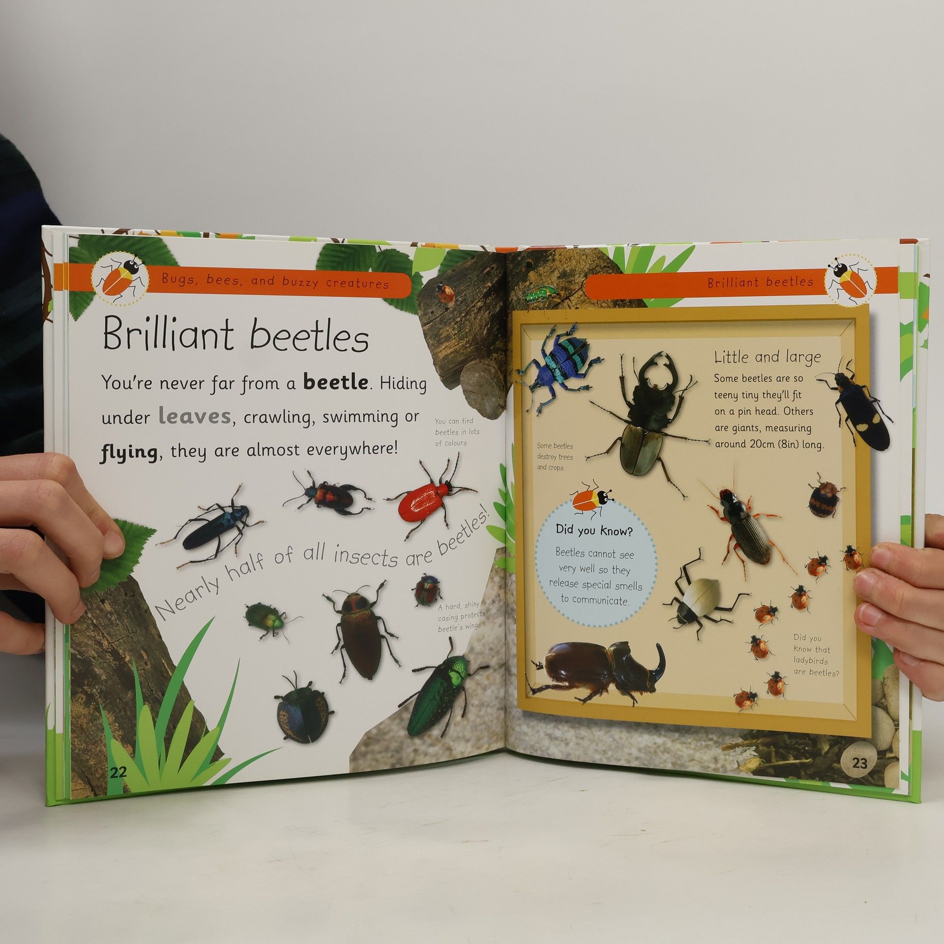 Various authors Bugs, bees, and other buzzy creatures