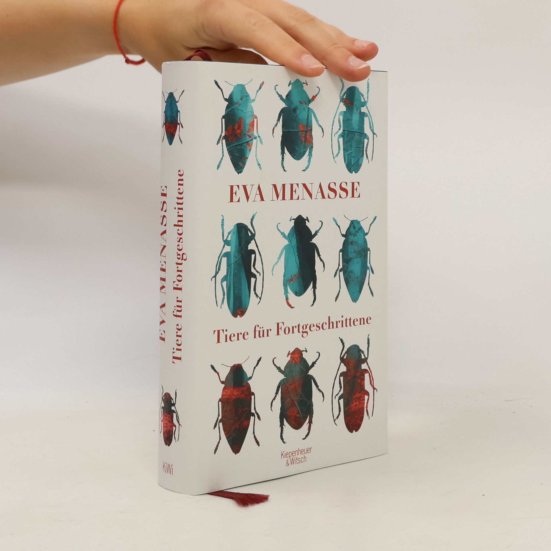 Eva Menasse Tiere für Fortgeschrittene