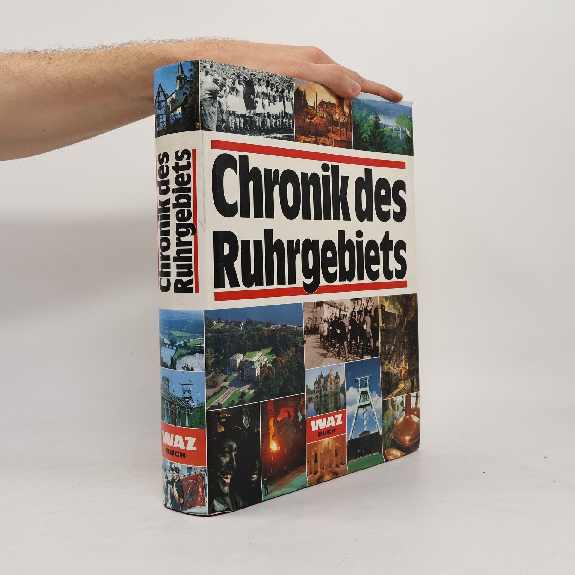 Bodo Harenberg Chronik des Ruhrgebiets
