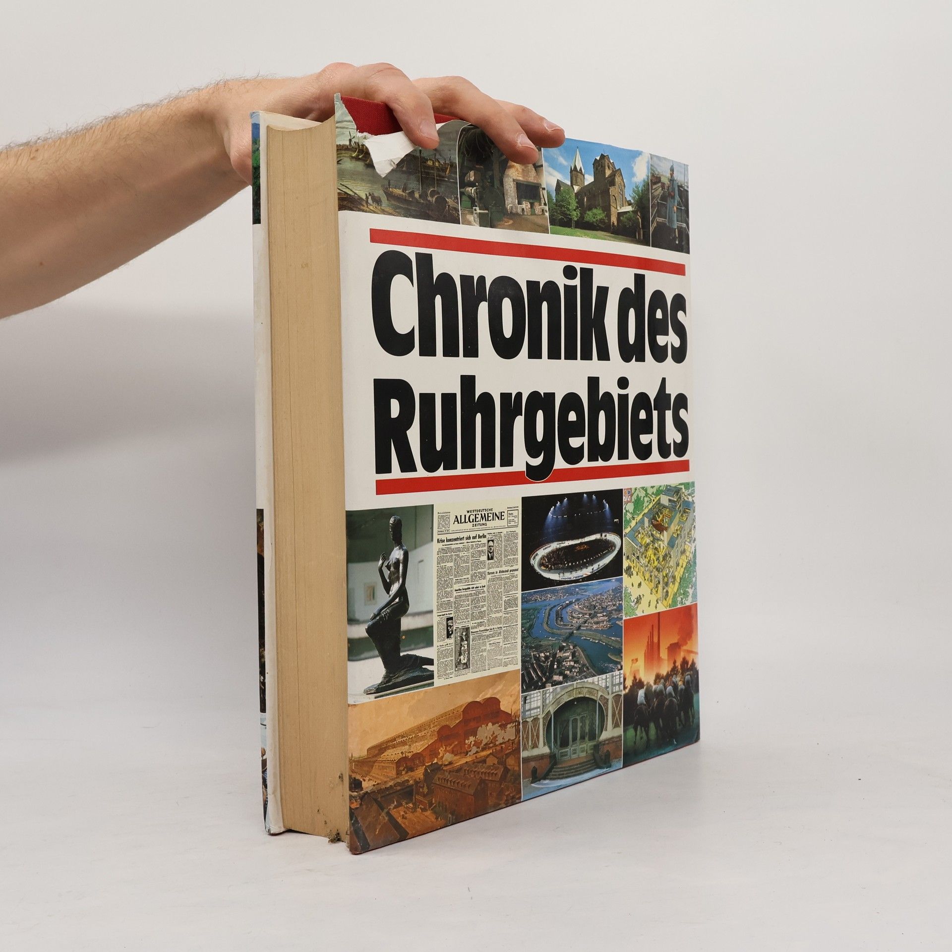 Bodo Harenberg Chronik des Ruhrgebiets