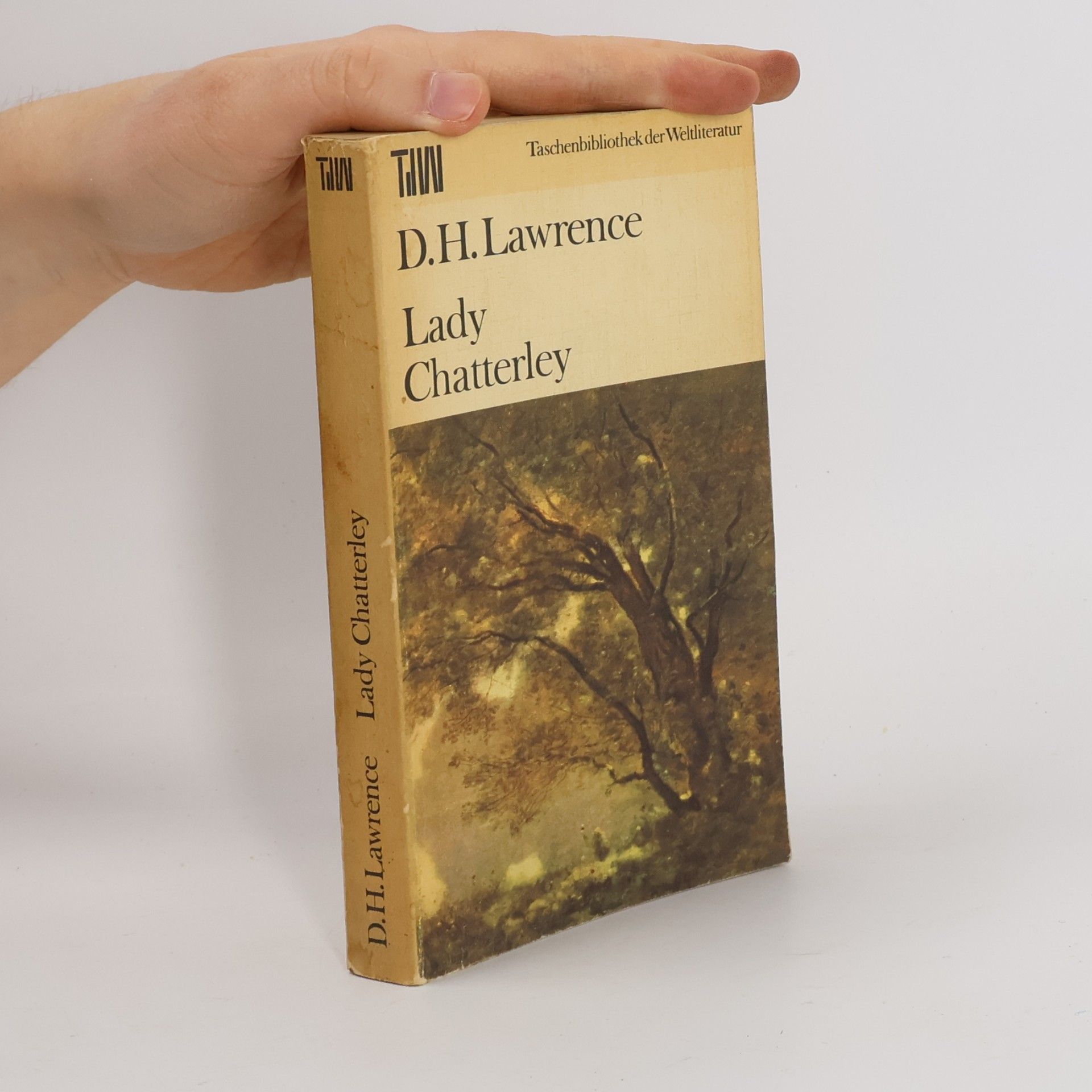 D. H. Lawrence Lady Chatterley