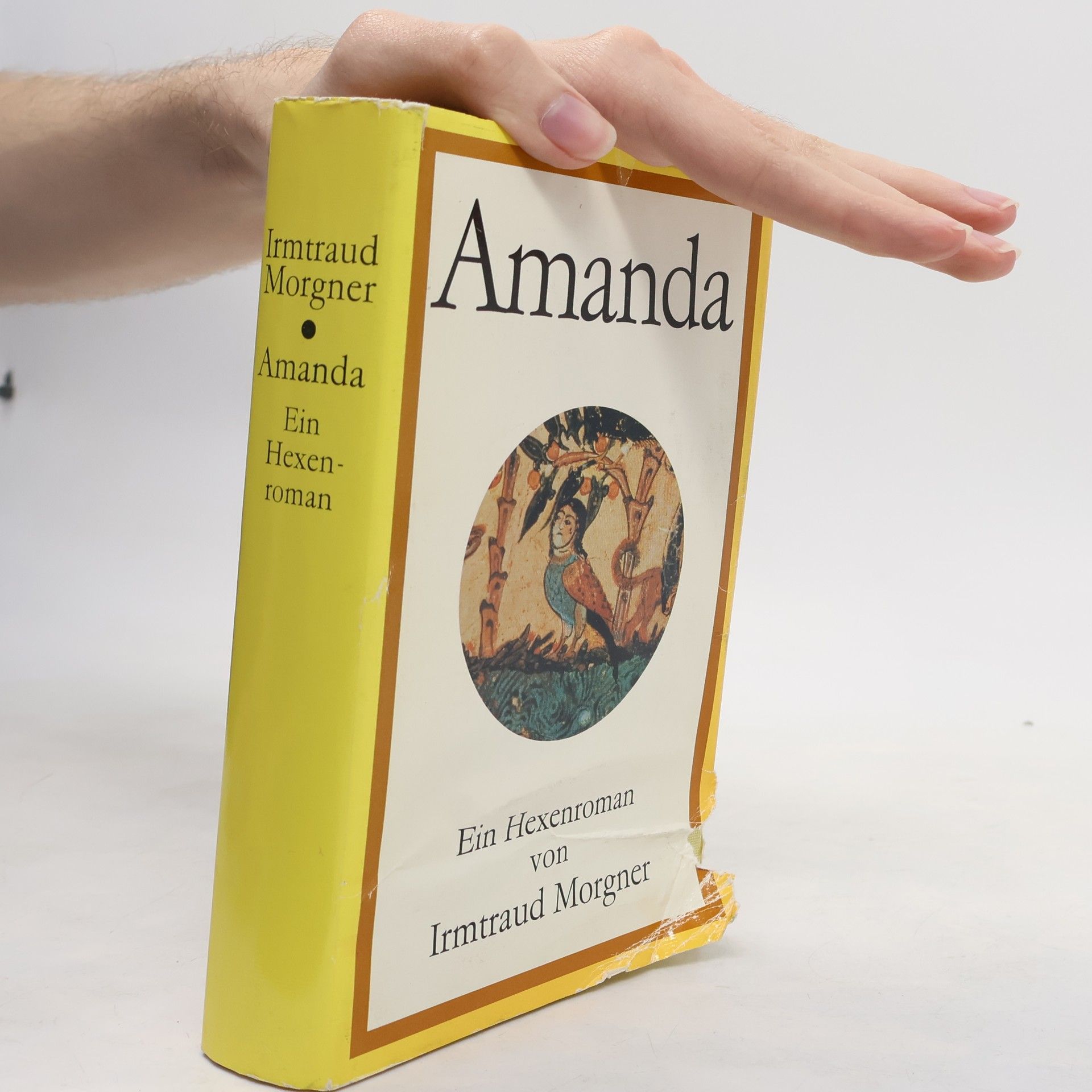 Irmtraud Morgner Amanda