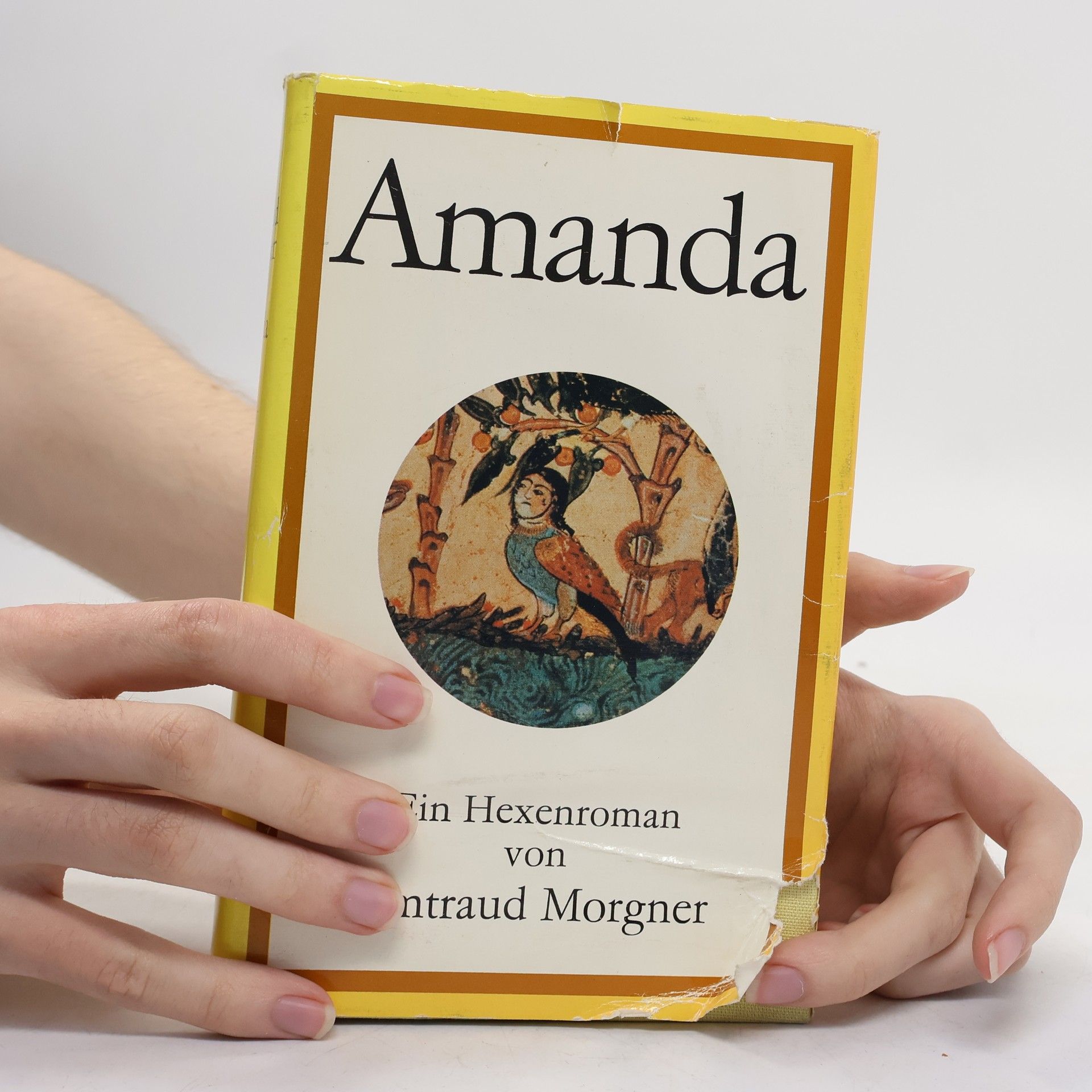 Irmtraud Morgner Amanda