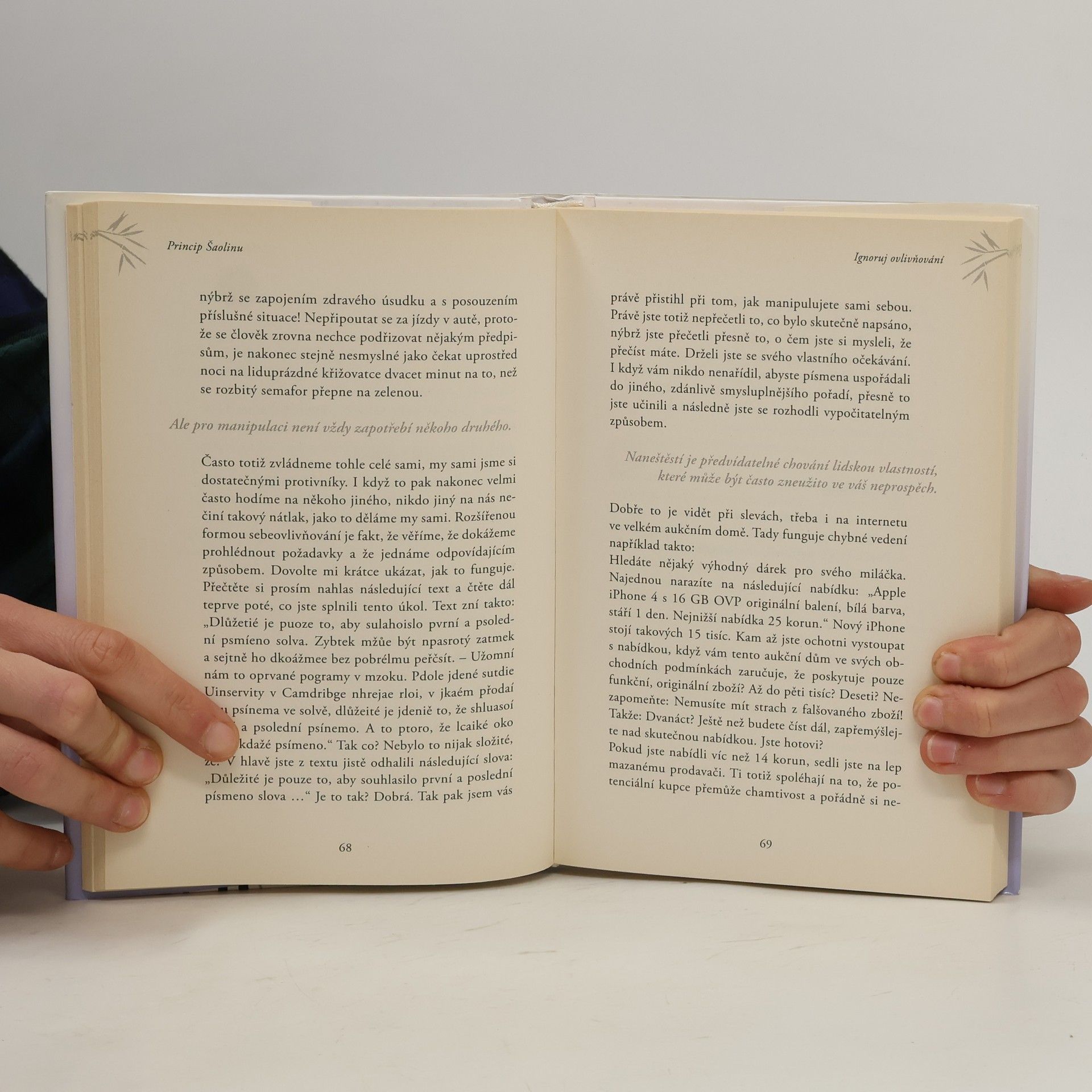 Bernhard Moestl Princip Šaolinu: Konej jen to, co jsi rozhodl sám