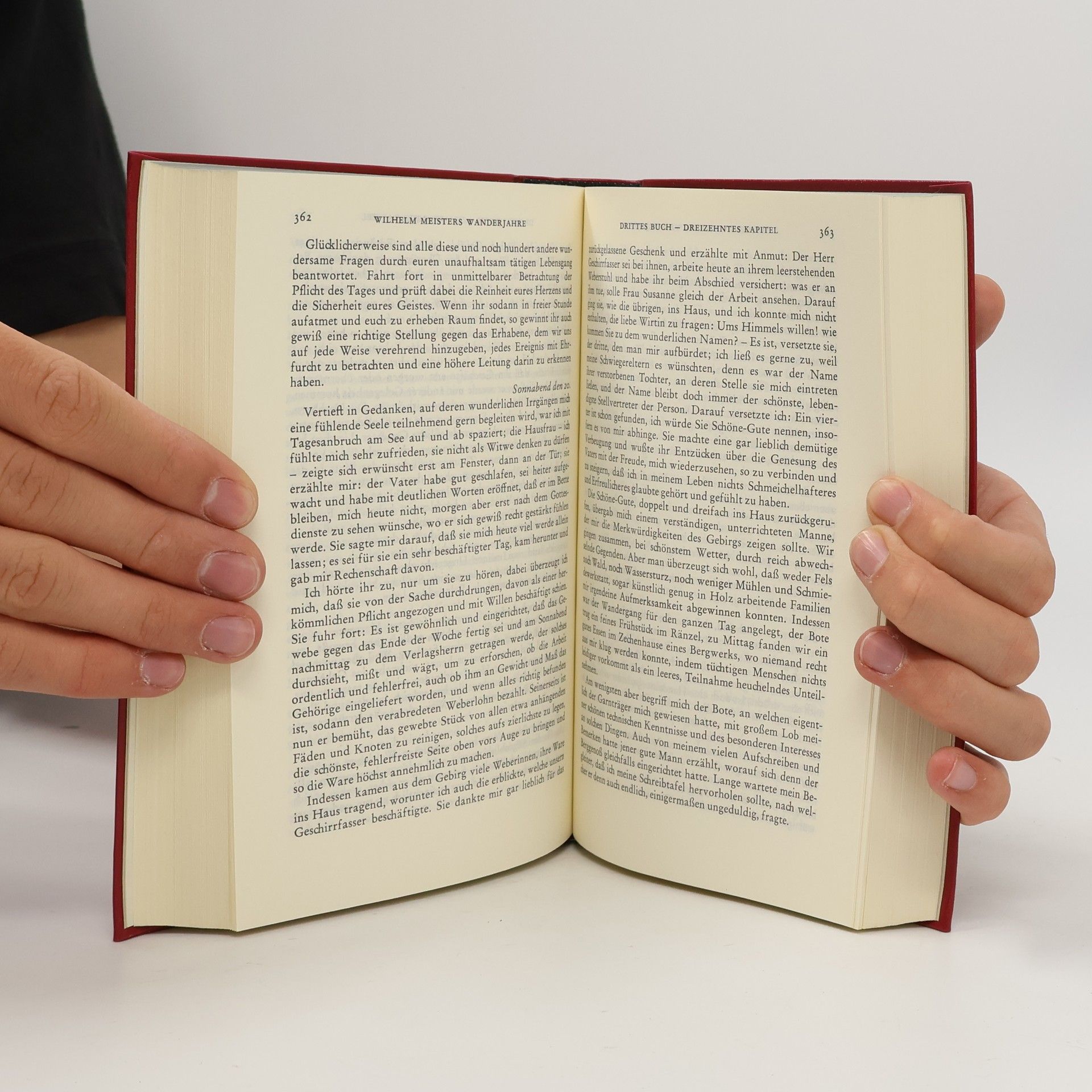 Johann Wolfgang von Goethe Goethe Werke 5