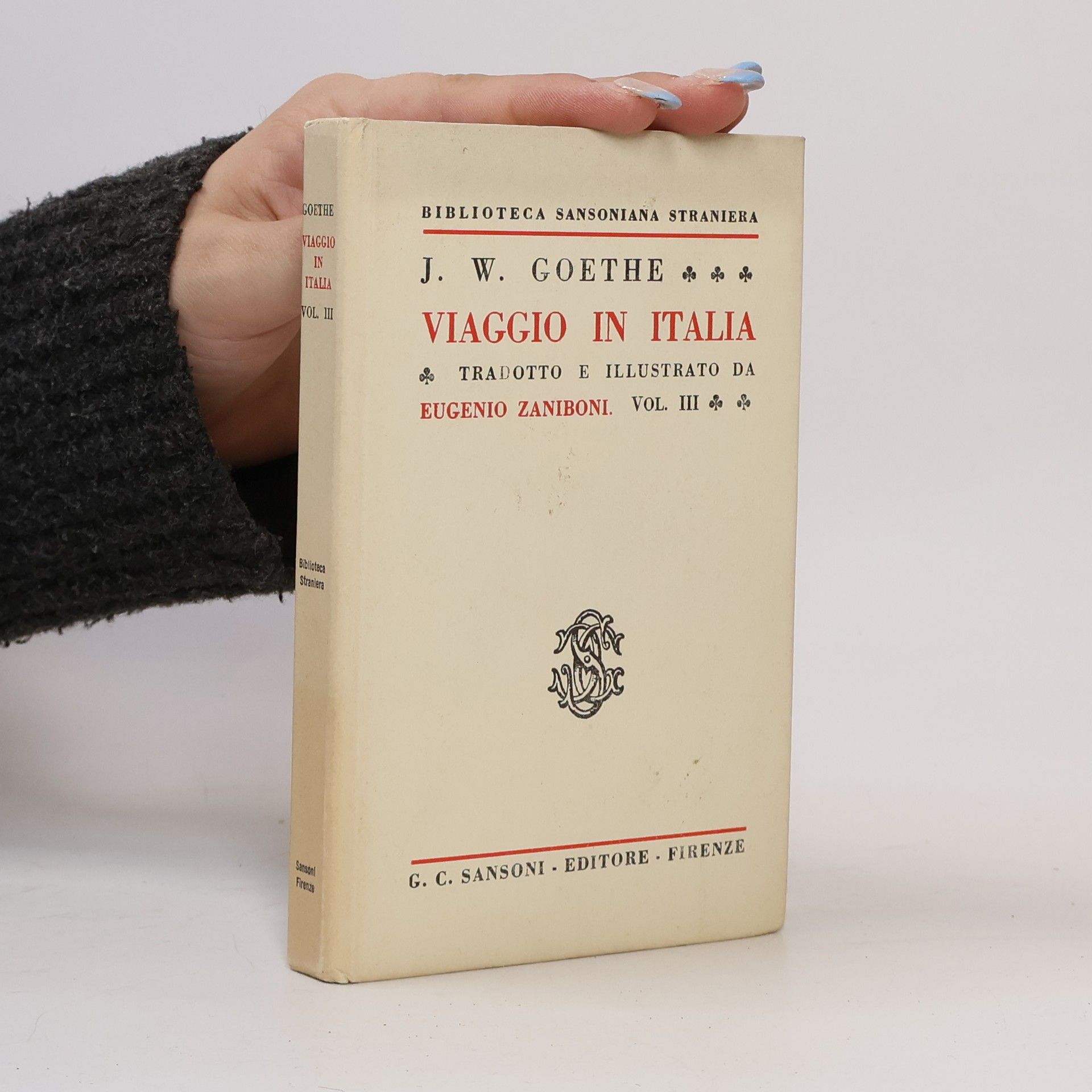 Eugenio Zaniboni Viaggio in Italia III