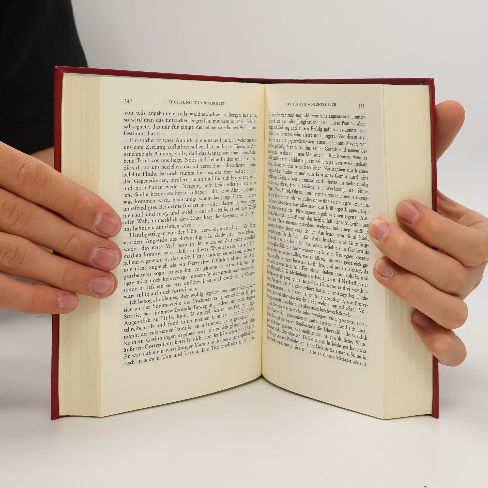 Johann Wolfgang von Goethe Goethe Werke 6
