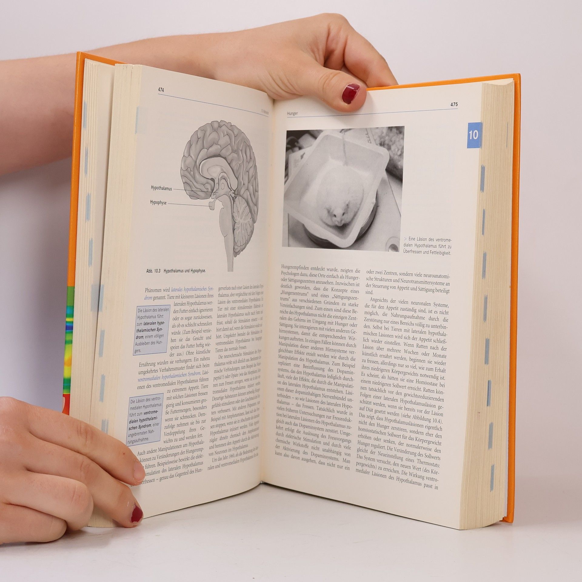 Rita L. Atkinson Atkinsons und Hilgards Einführung in die Psychologie