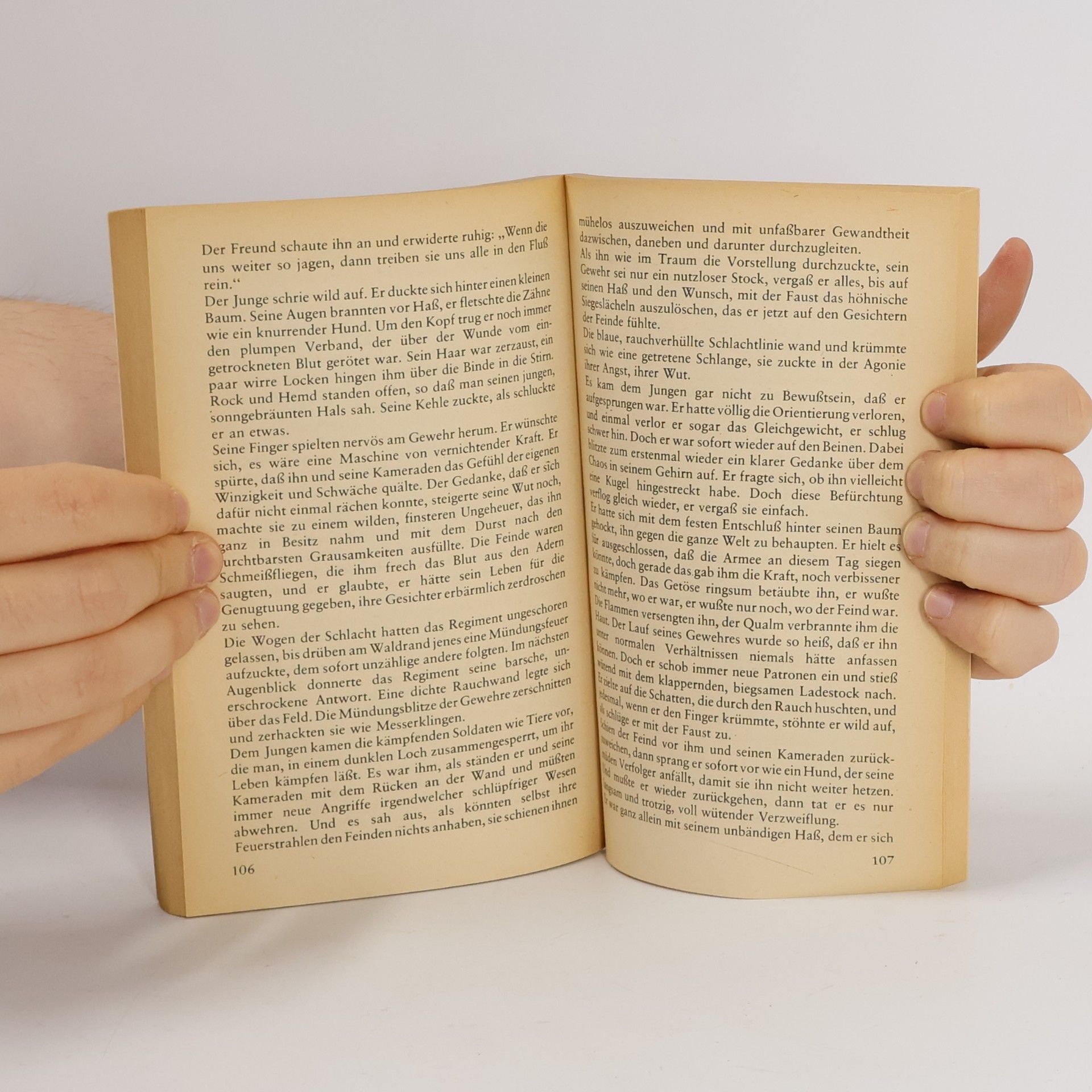 Stephen Crane Das Rote Siegel