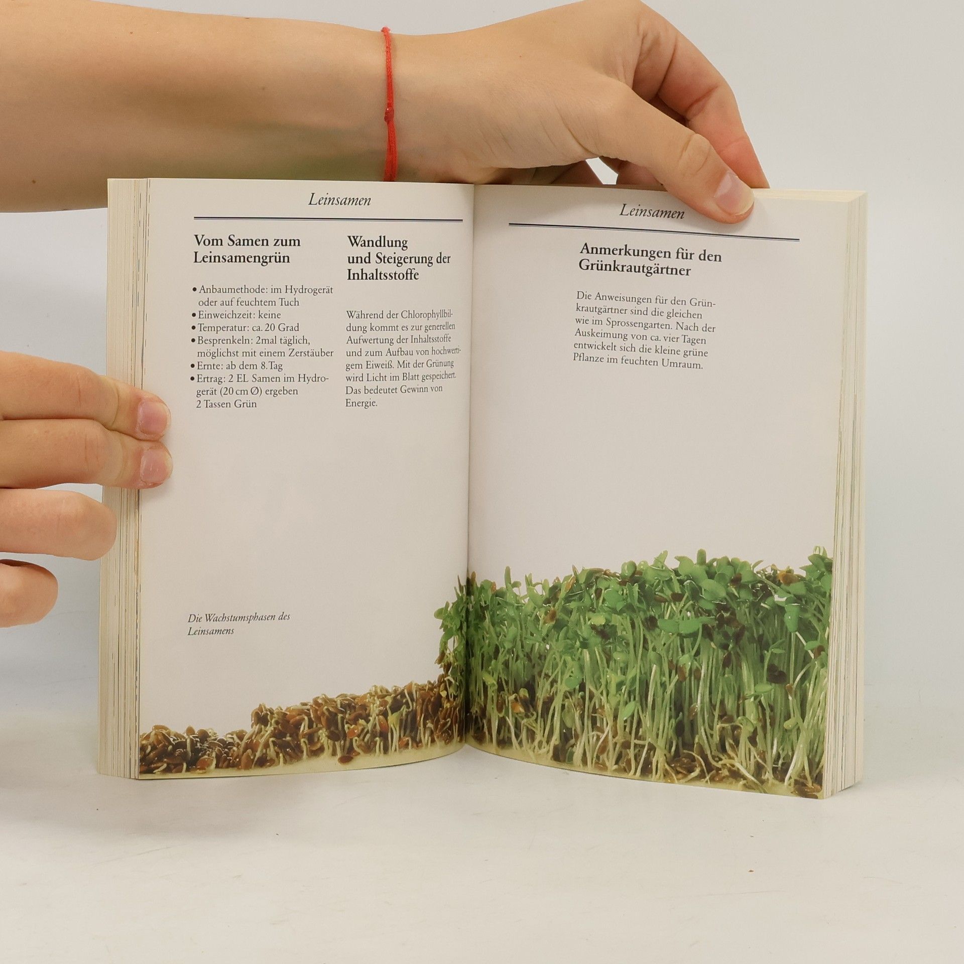Rose-Marie Nöcker Das grosse Buch der Sprossen und Keime: Mit vielen Rezepten