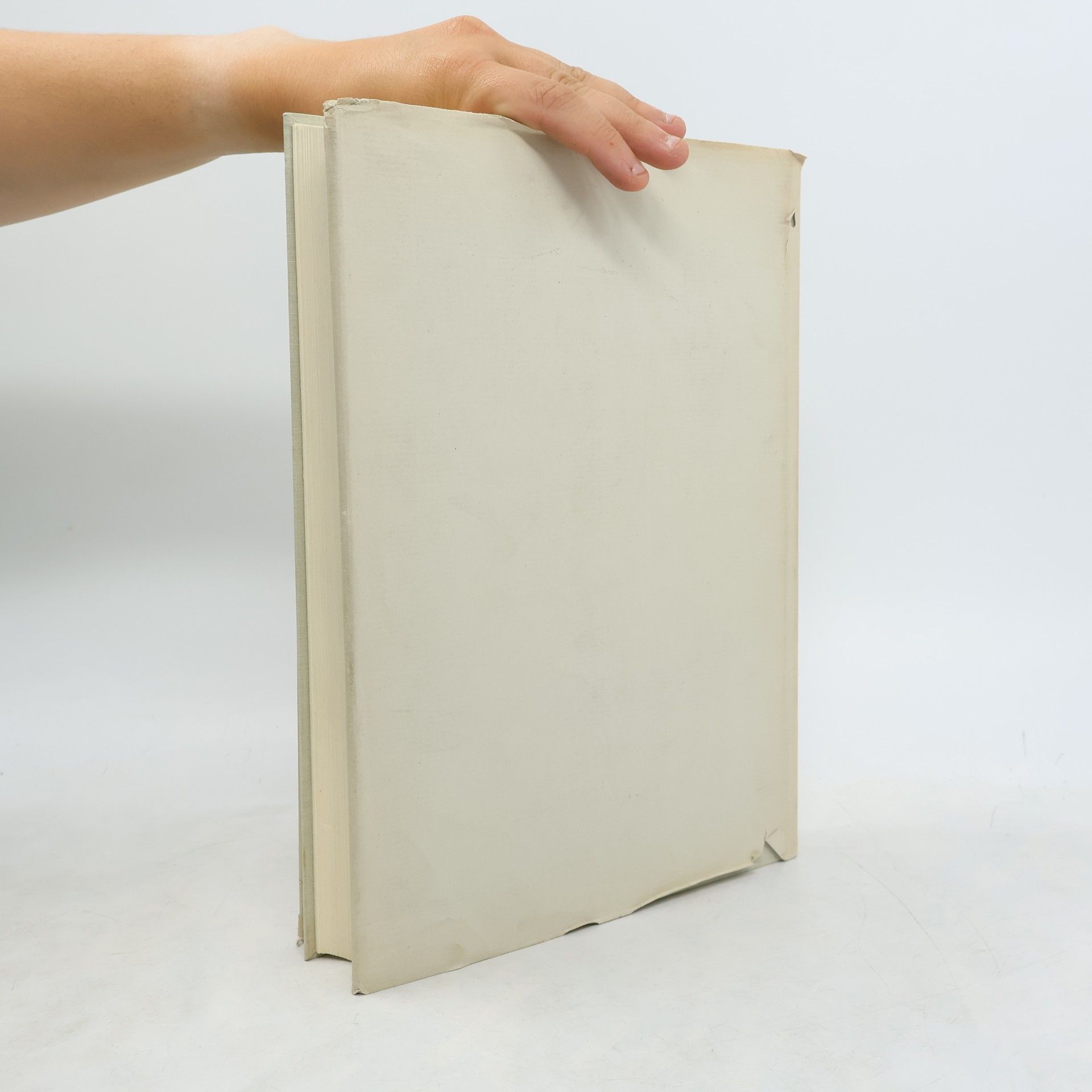 Kolektiv autorů Gedenkbuch zur Fünfhundertjahrfeier der Schlacht bei St. Jakob an der Birs 1444
