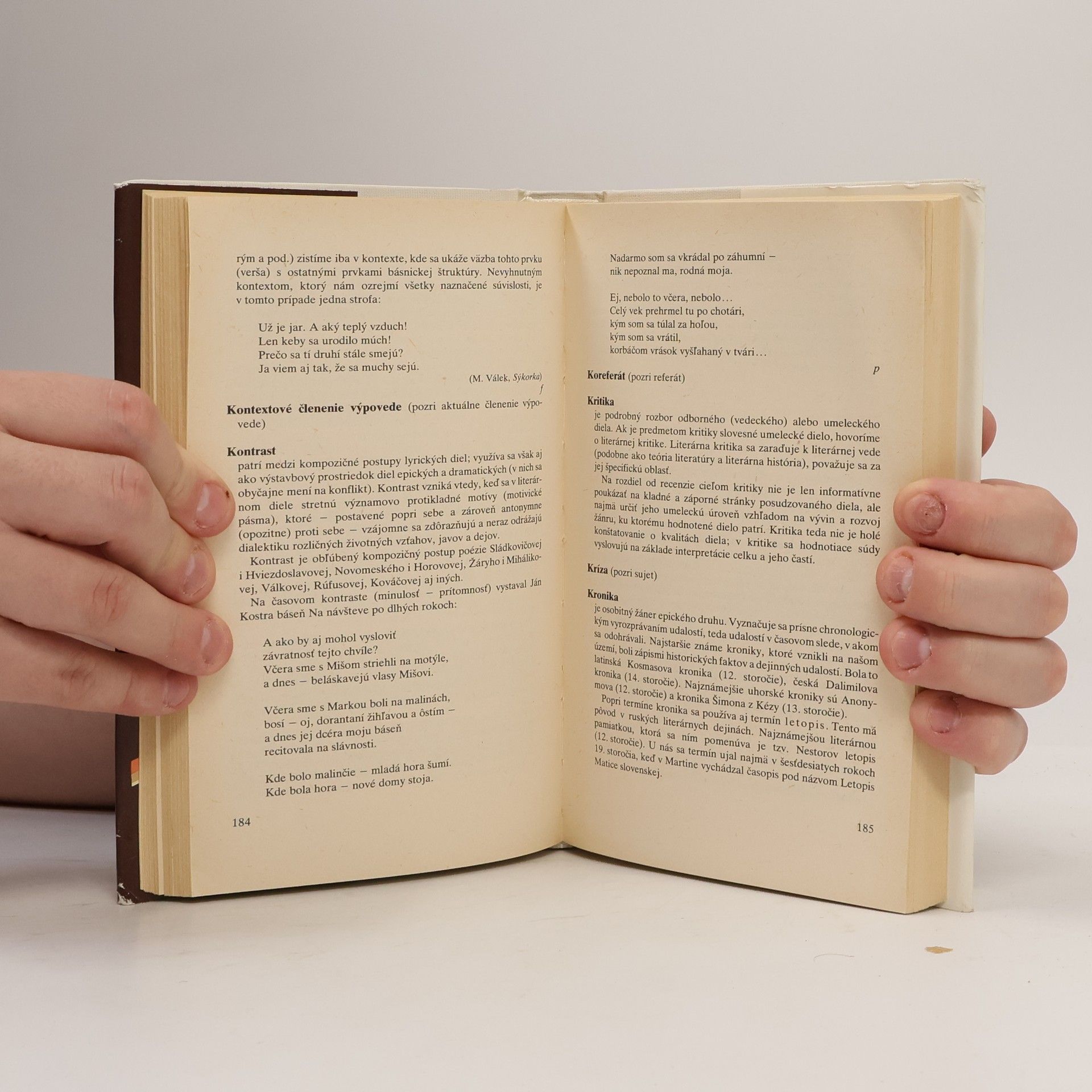 Findra Ján Slovník literárnovedných termínov
