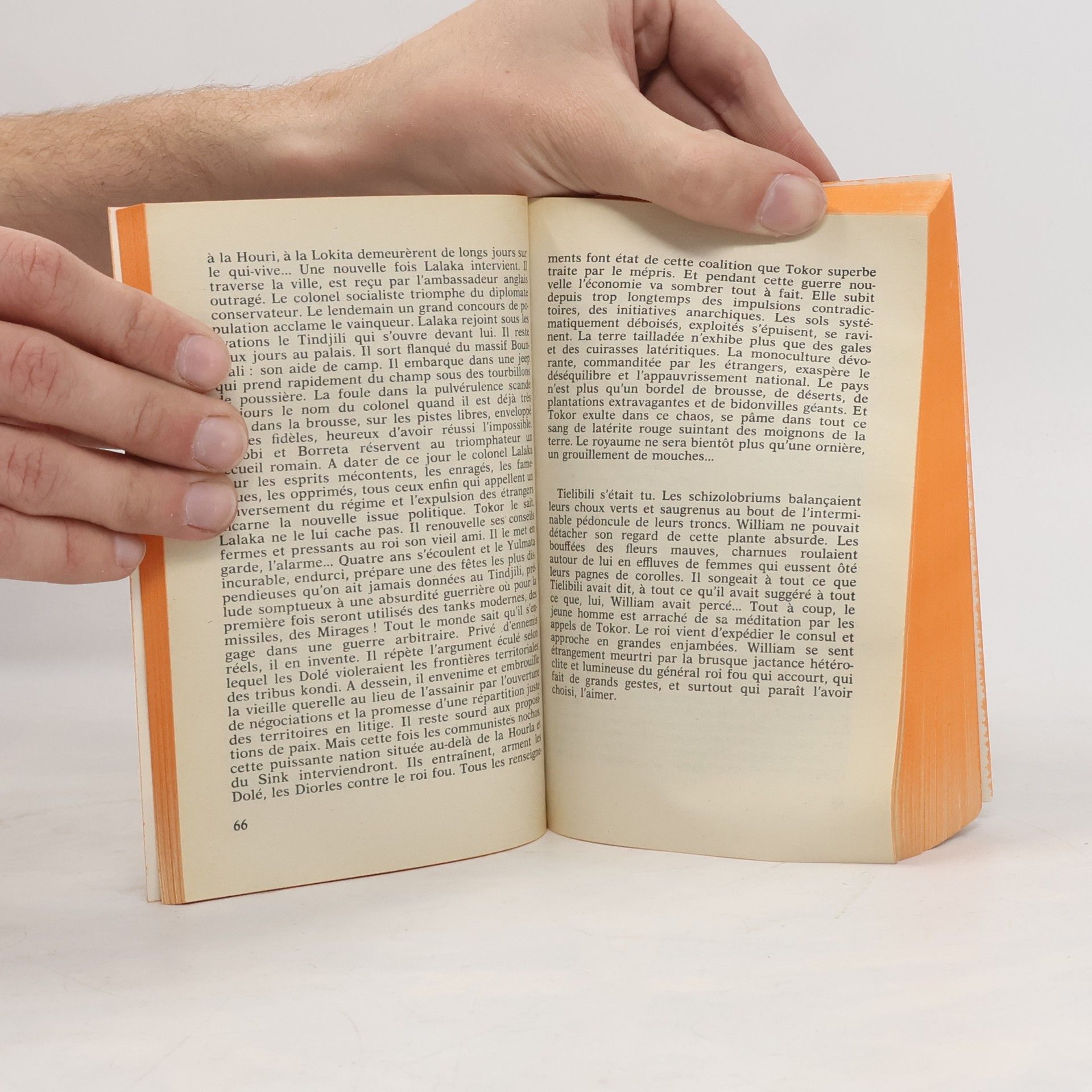 Patrick Grainville Les Flamboyants - Texte intégral