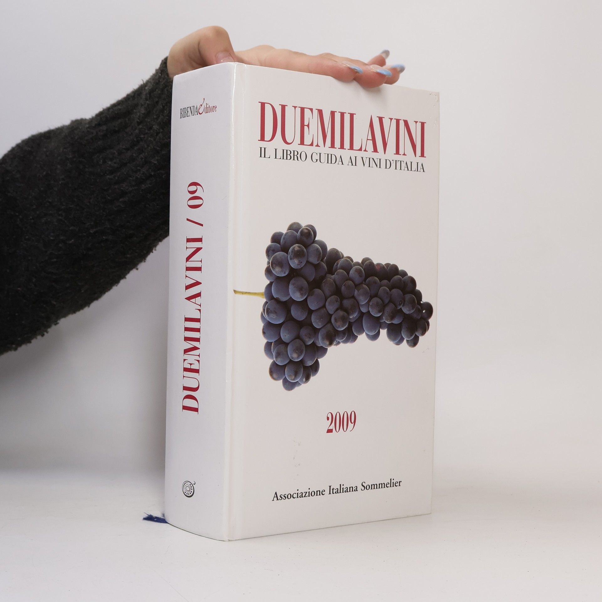 Autorenkollektiv Duemilavini 2009