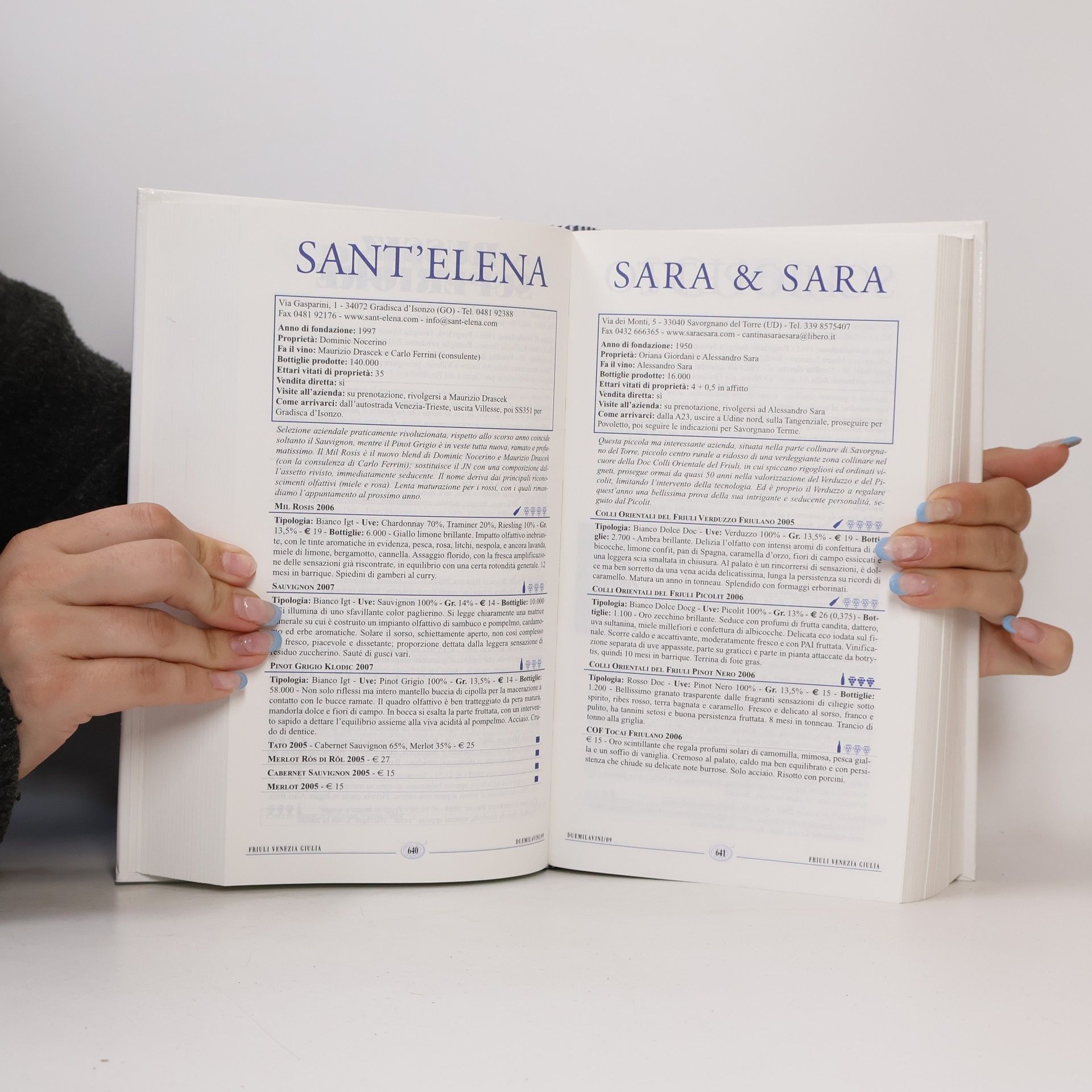 Autorenkollektiv Duemilavini 2009