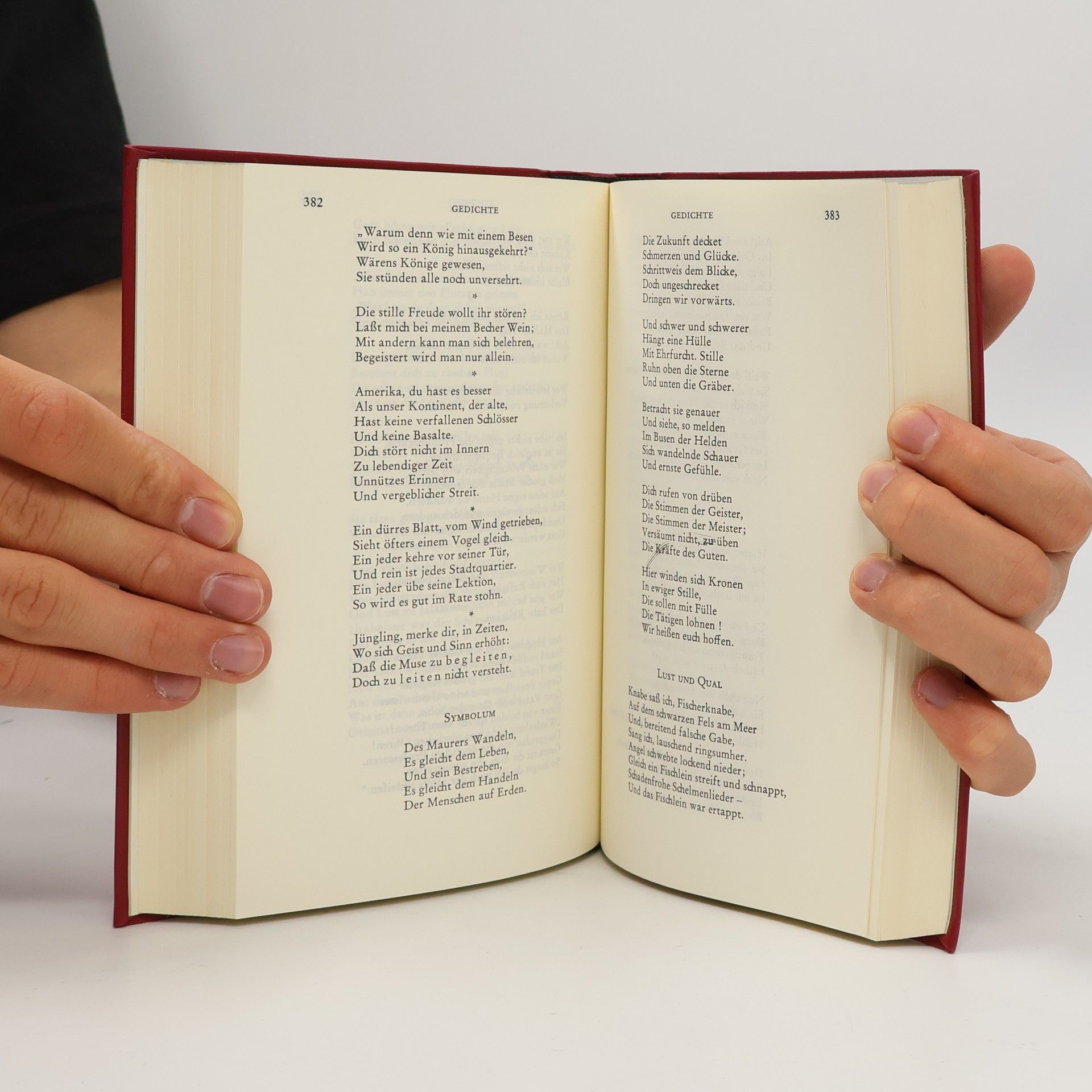 Johann Wolfgang von Goethe Werke 1
