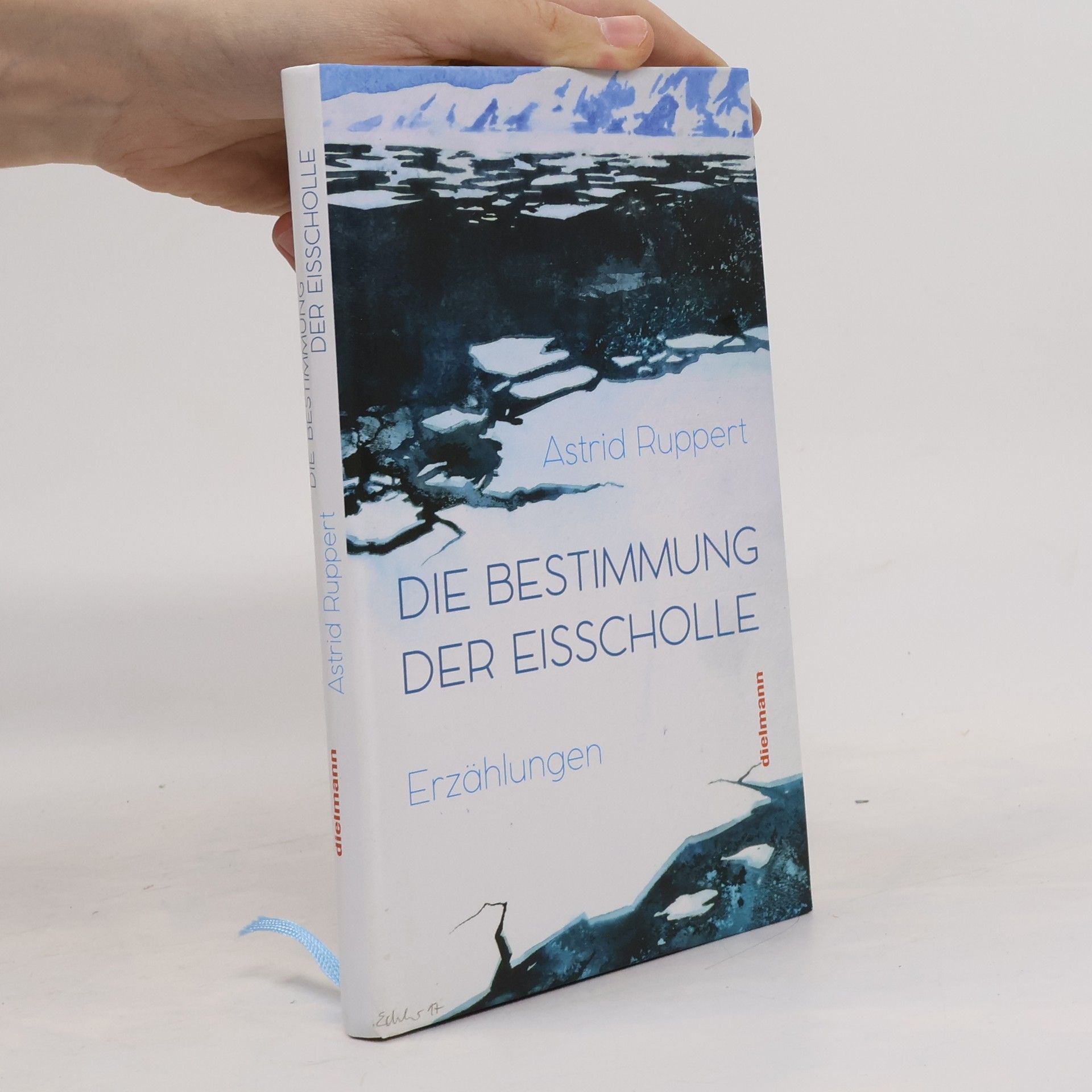 Die Bestimmung der Eisscholle