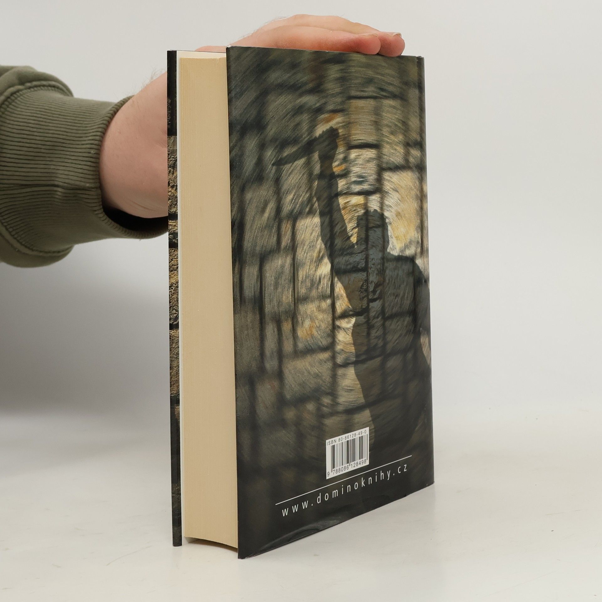 Jeffery Deaver Tanečník
