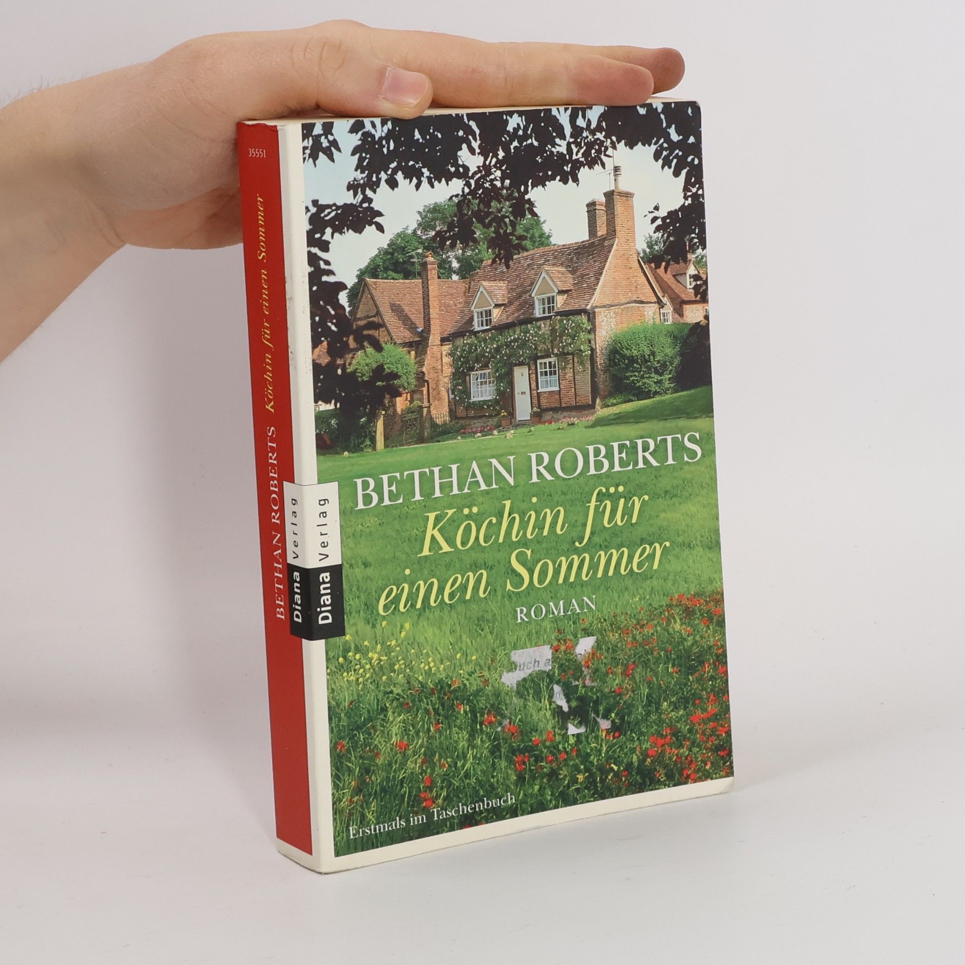 Bethan Roberts Köchin für einen Sommer